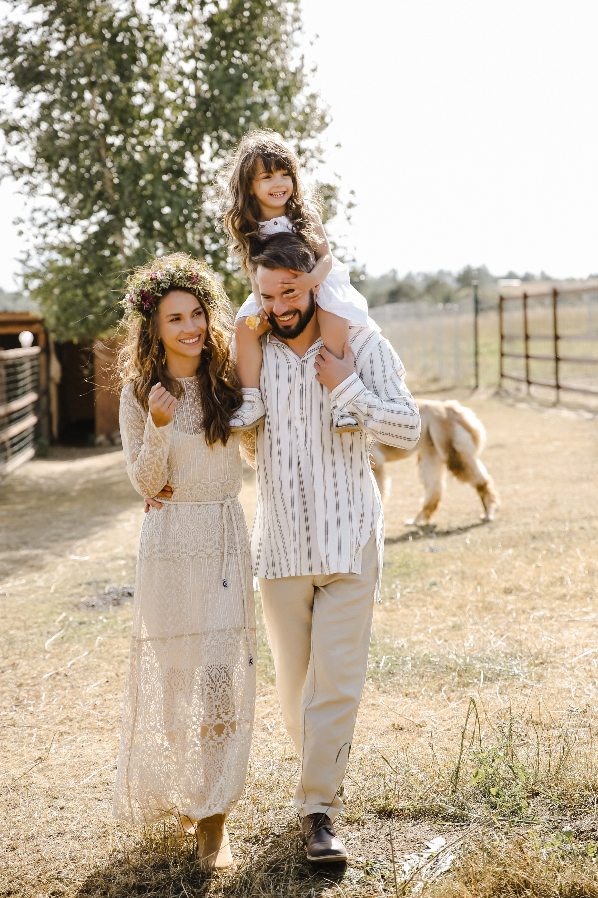 Ферма Альпаков Подмосковье. Фотограф и видеограф Анна Домашенко