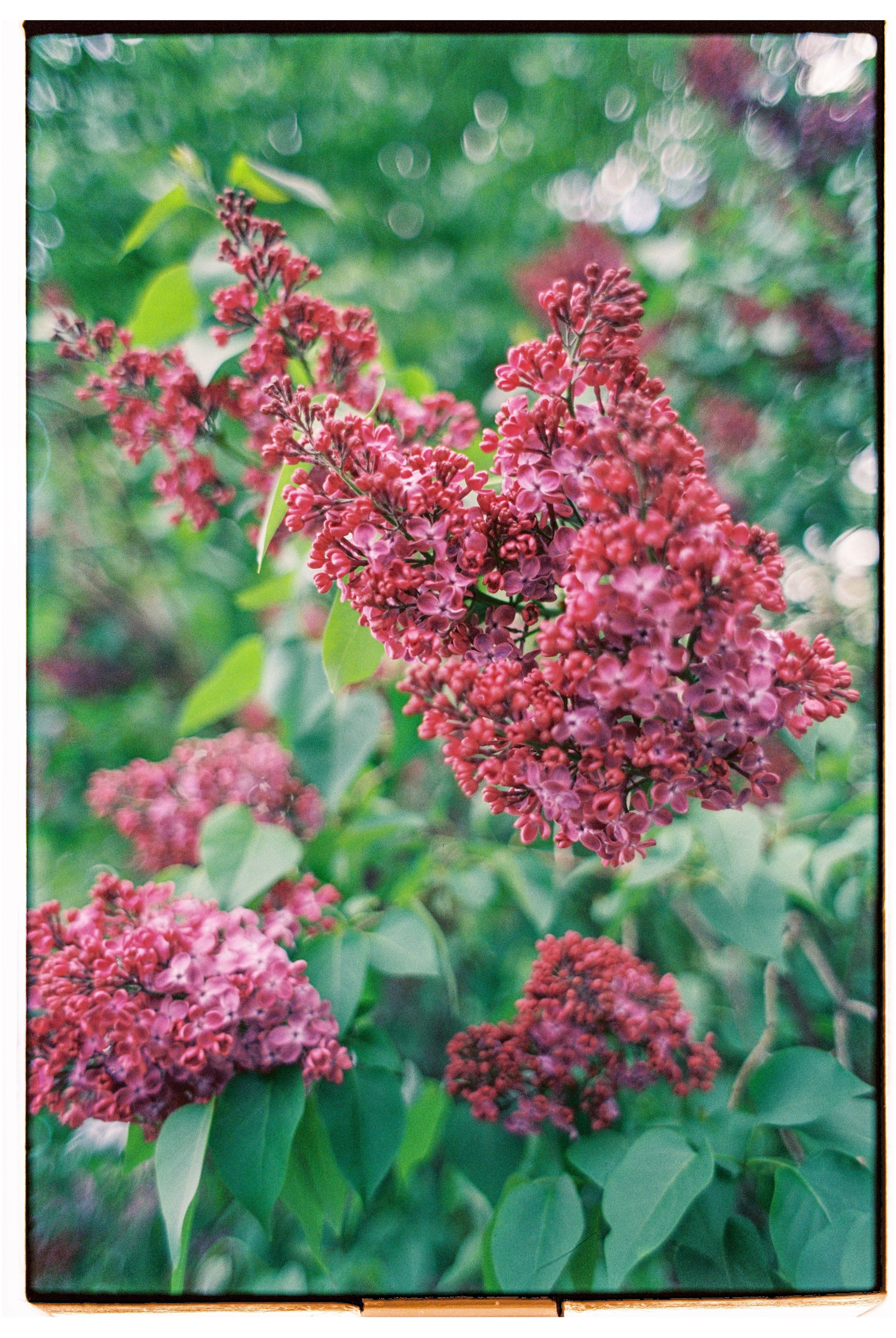 Great time with my family. Никита Демидов. Nikita Demidov