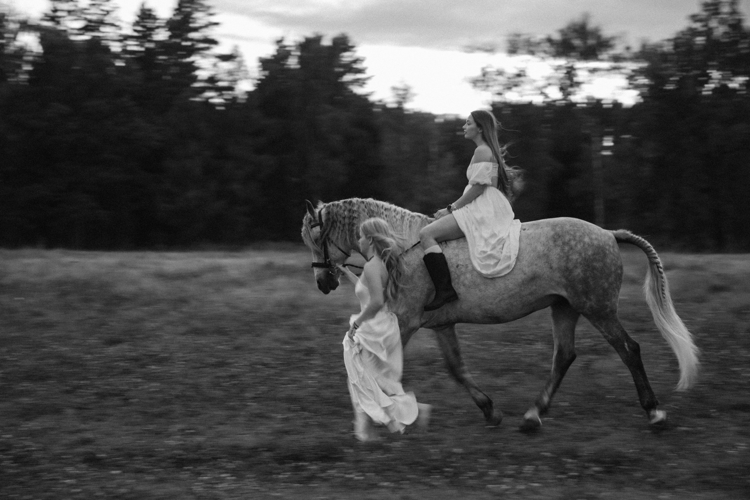 Алиса, Аня и Кайф. Анна Пушина, фотограф, Москва, Королев, Пушкино