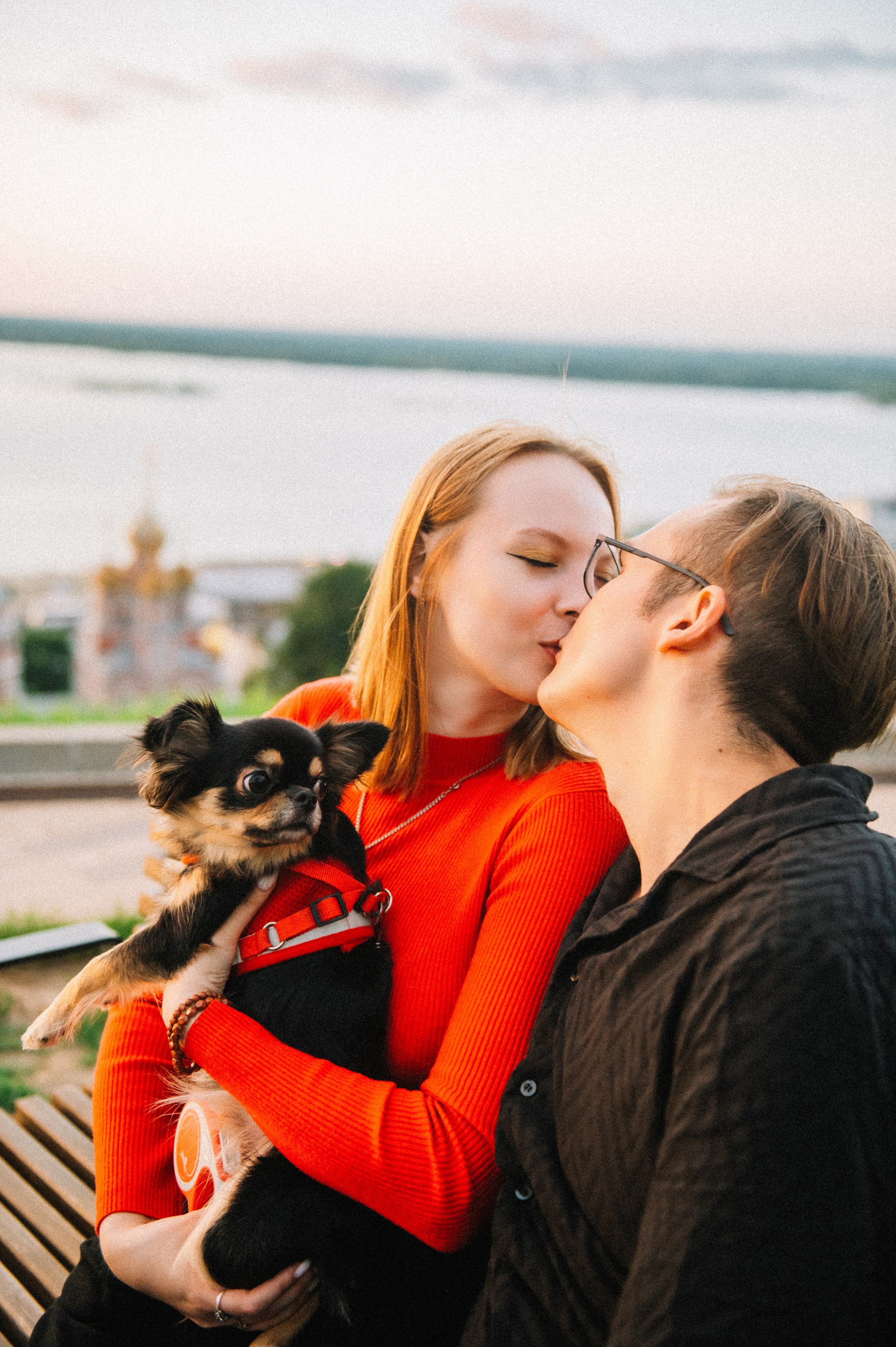 Лера, Илья и чихуахуа Наоми (Нижний Новгород, 2024). Анна Пушина, фотограф, Москва, Королев, Пушкино