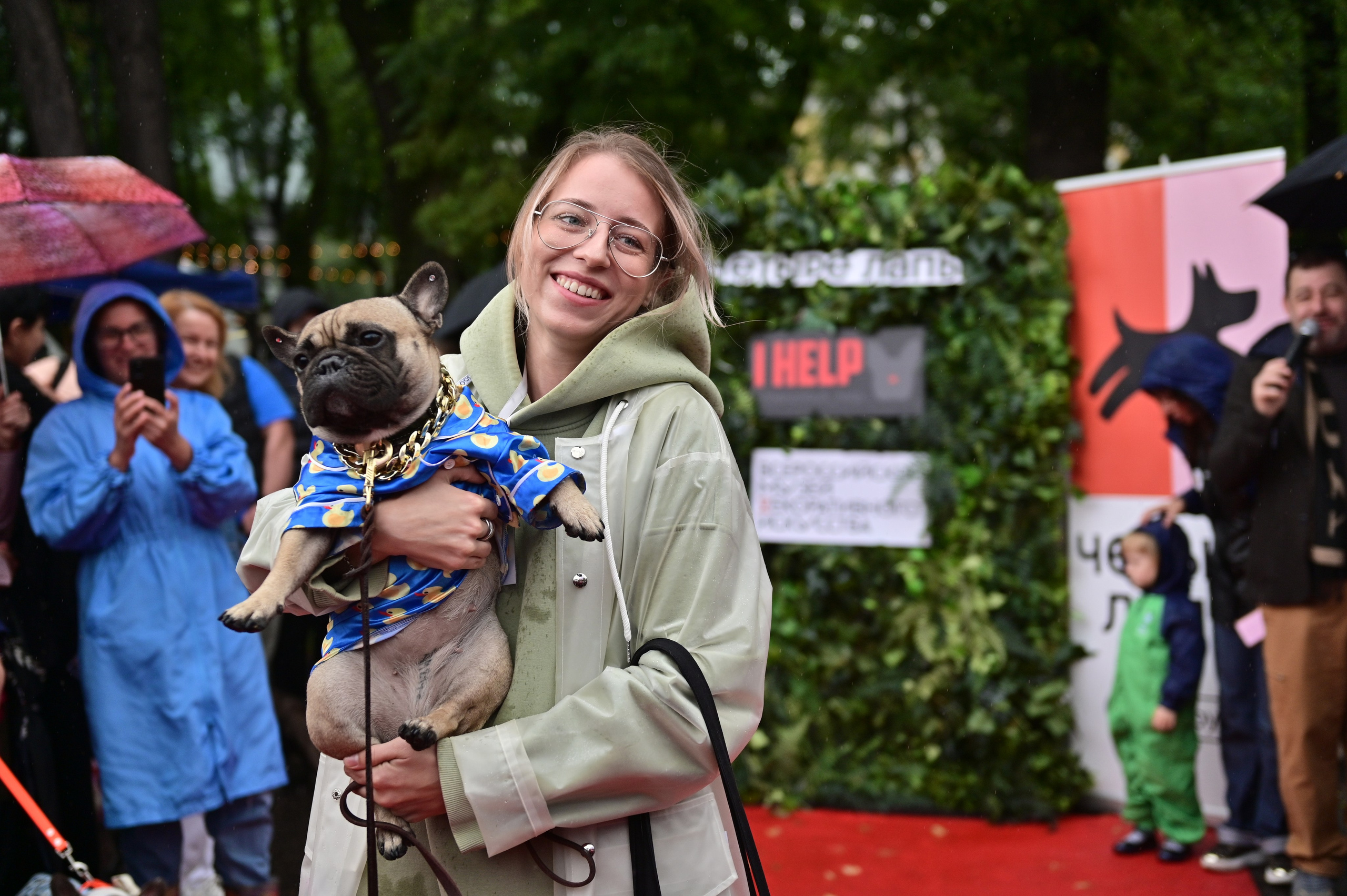 Парад французский бульдогов. Анна Пушина, фотограф, Москва, Королев, Пушкино