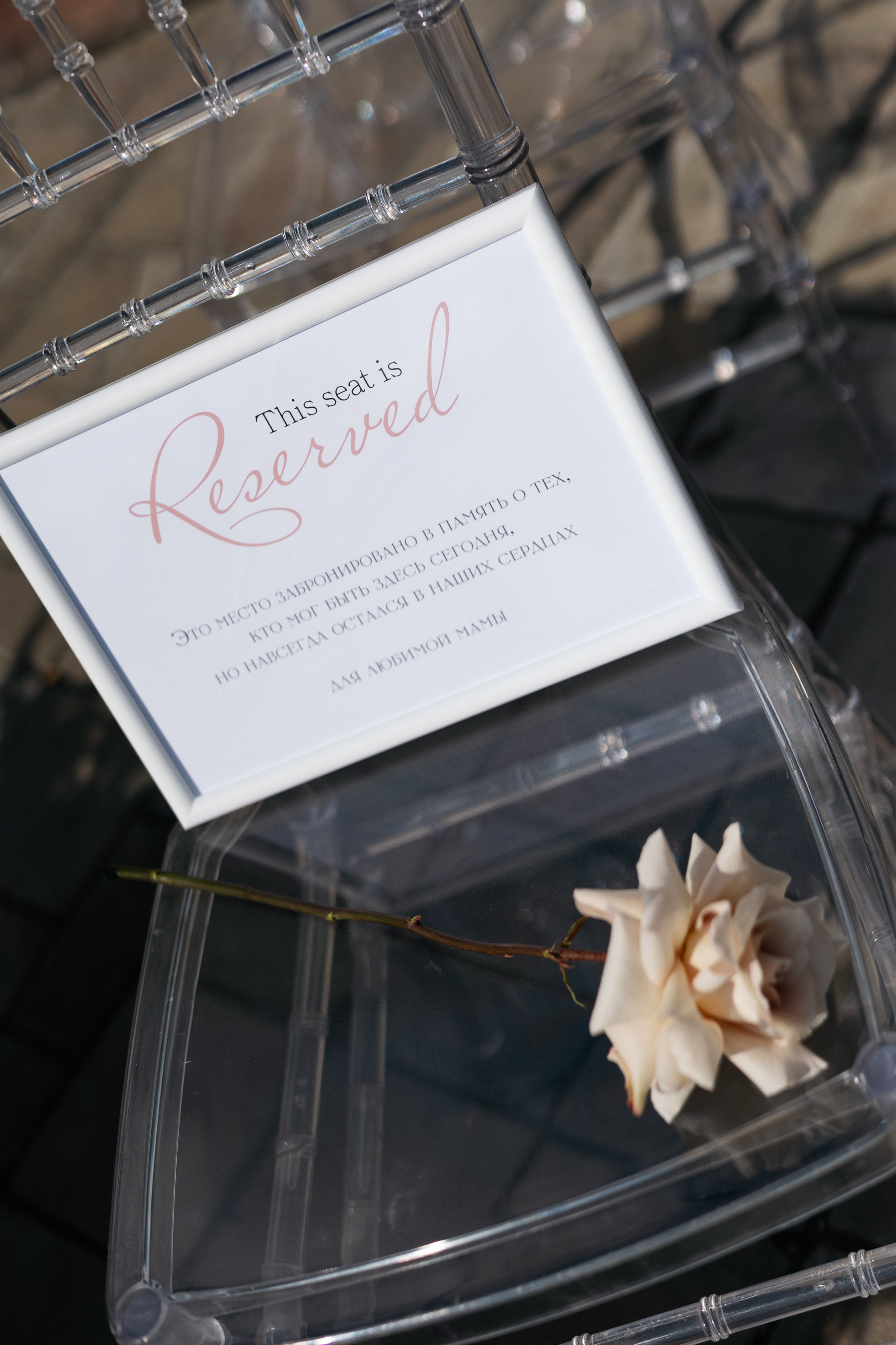 Герберы & звездные гости. Фотограф в Москве Анастасия Курлович