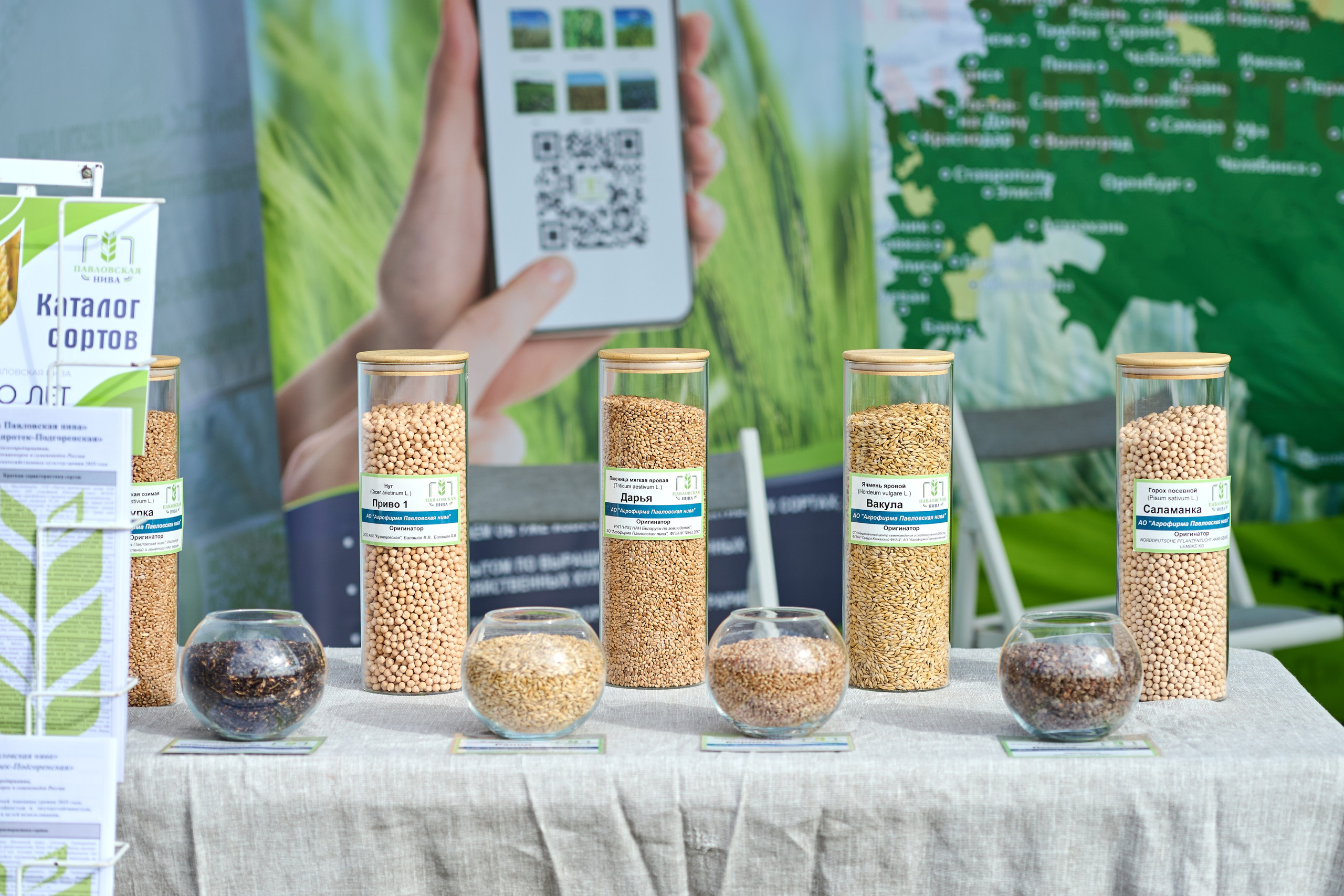 Самарский День поля 2025. Фотограф в Самаре