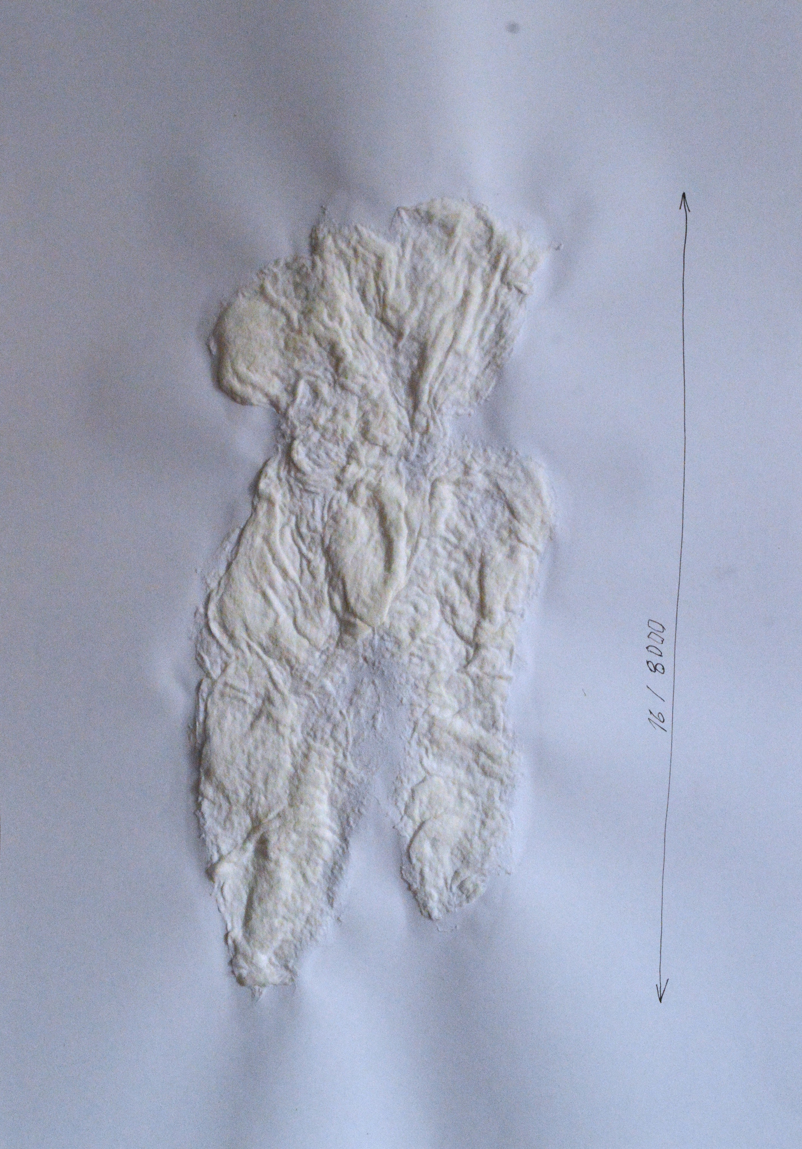 «8000 женщин» 2025. Лилия Ким. Междисциплинарный художник