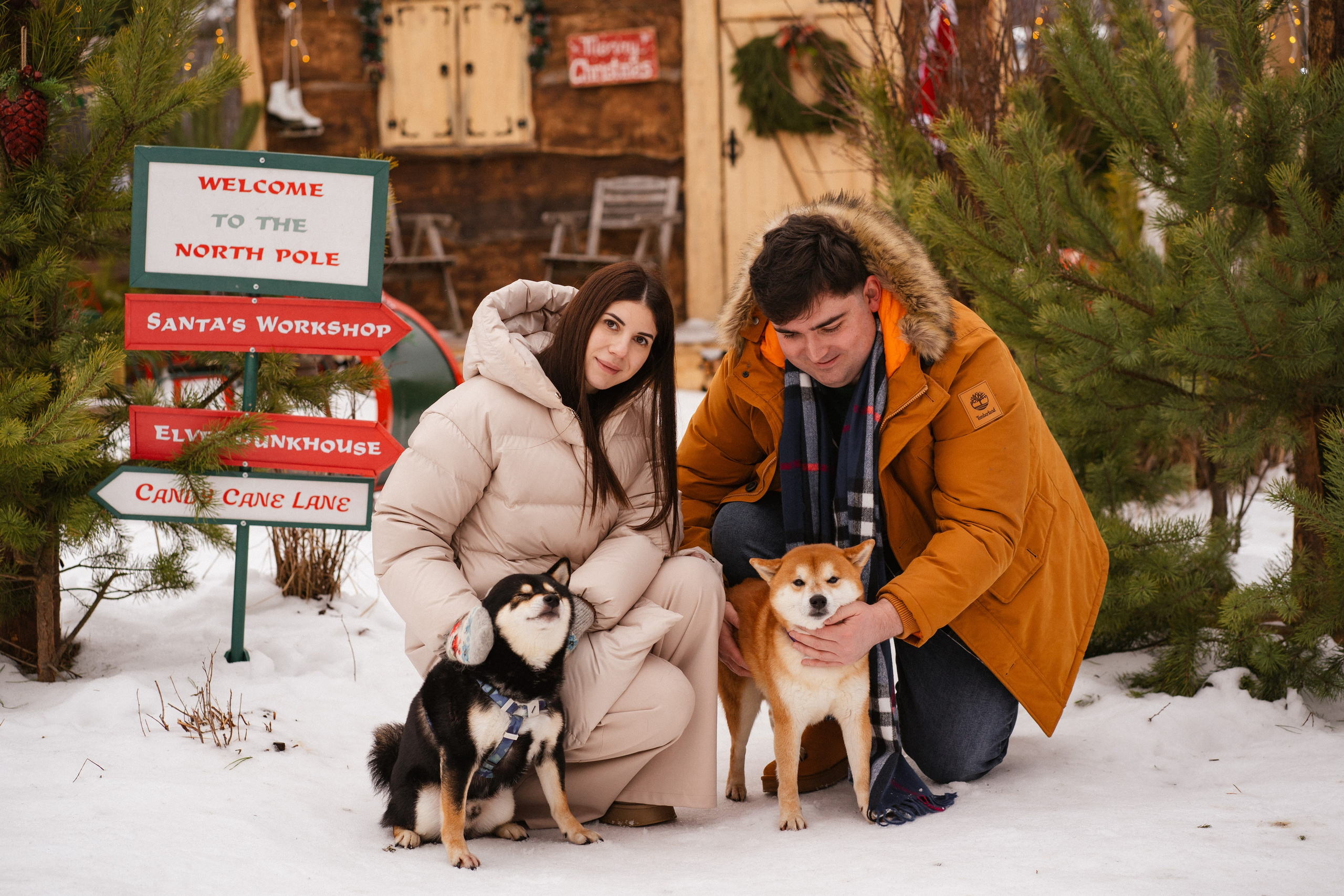 Фотодача «Калина» зима/новый год. Мои работы