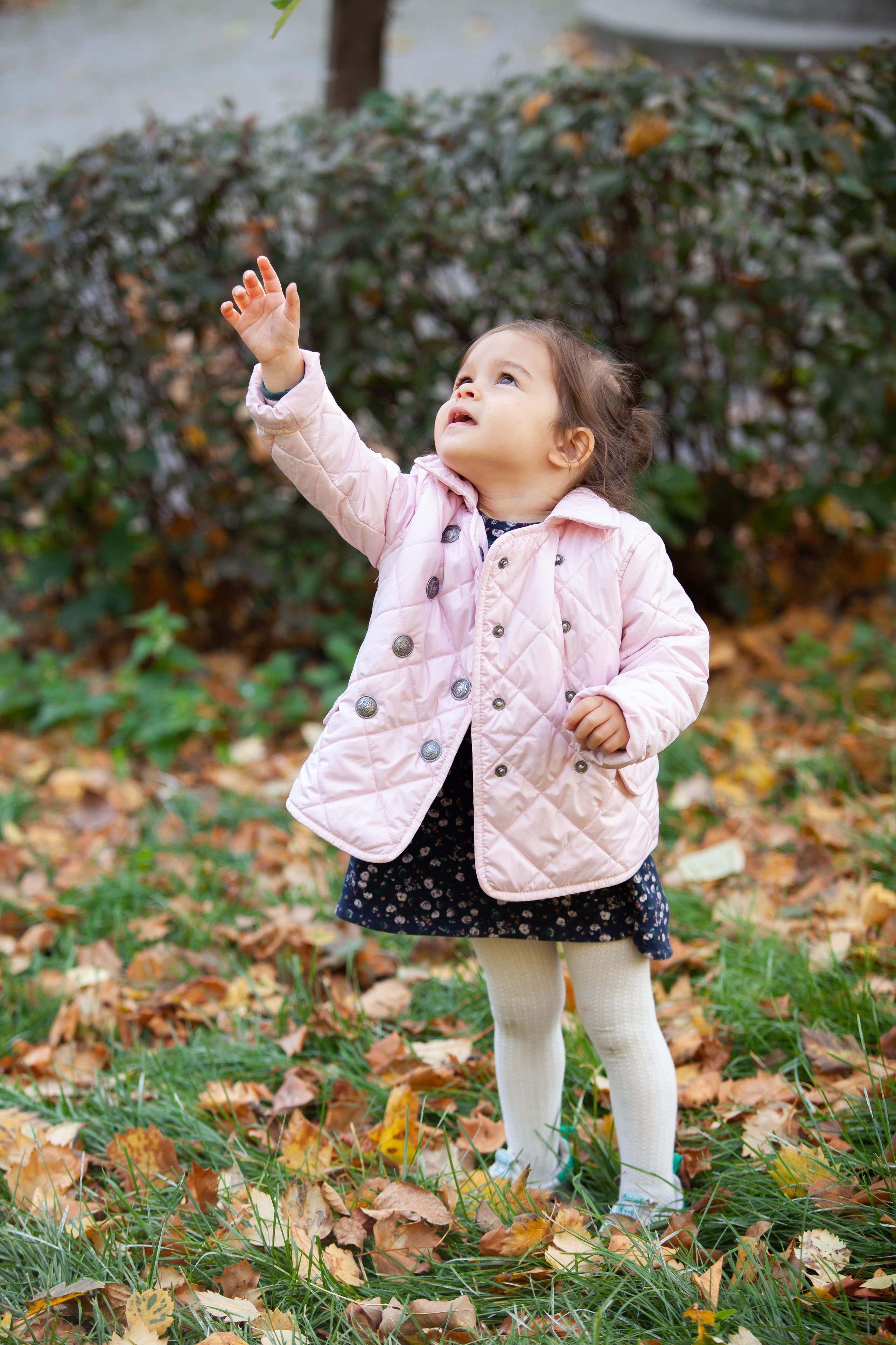Семейная фотосъемка в саду Баумана. Фотографы в Москве Светлана Устинова и Сергей Грачев