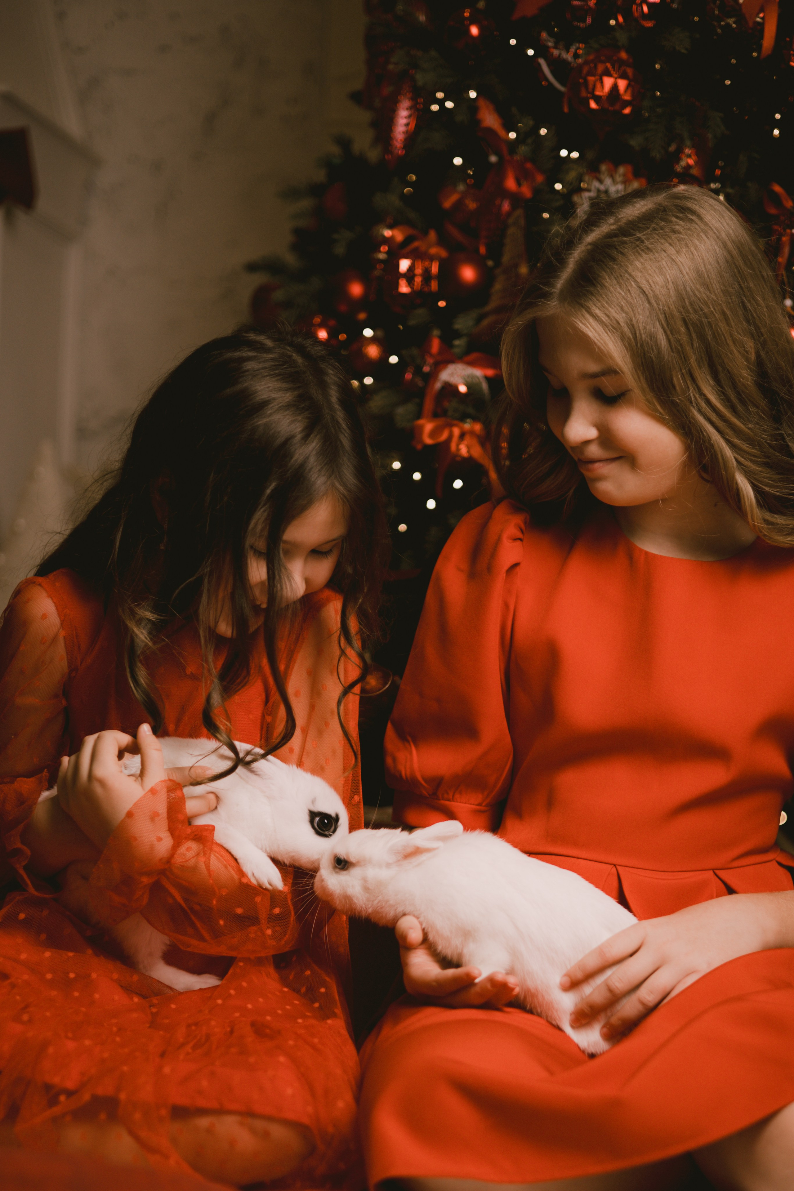 Daily Studio|Soft|Сестрички