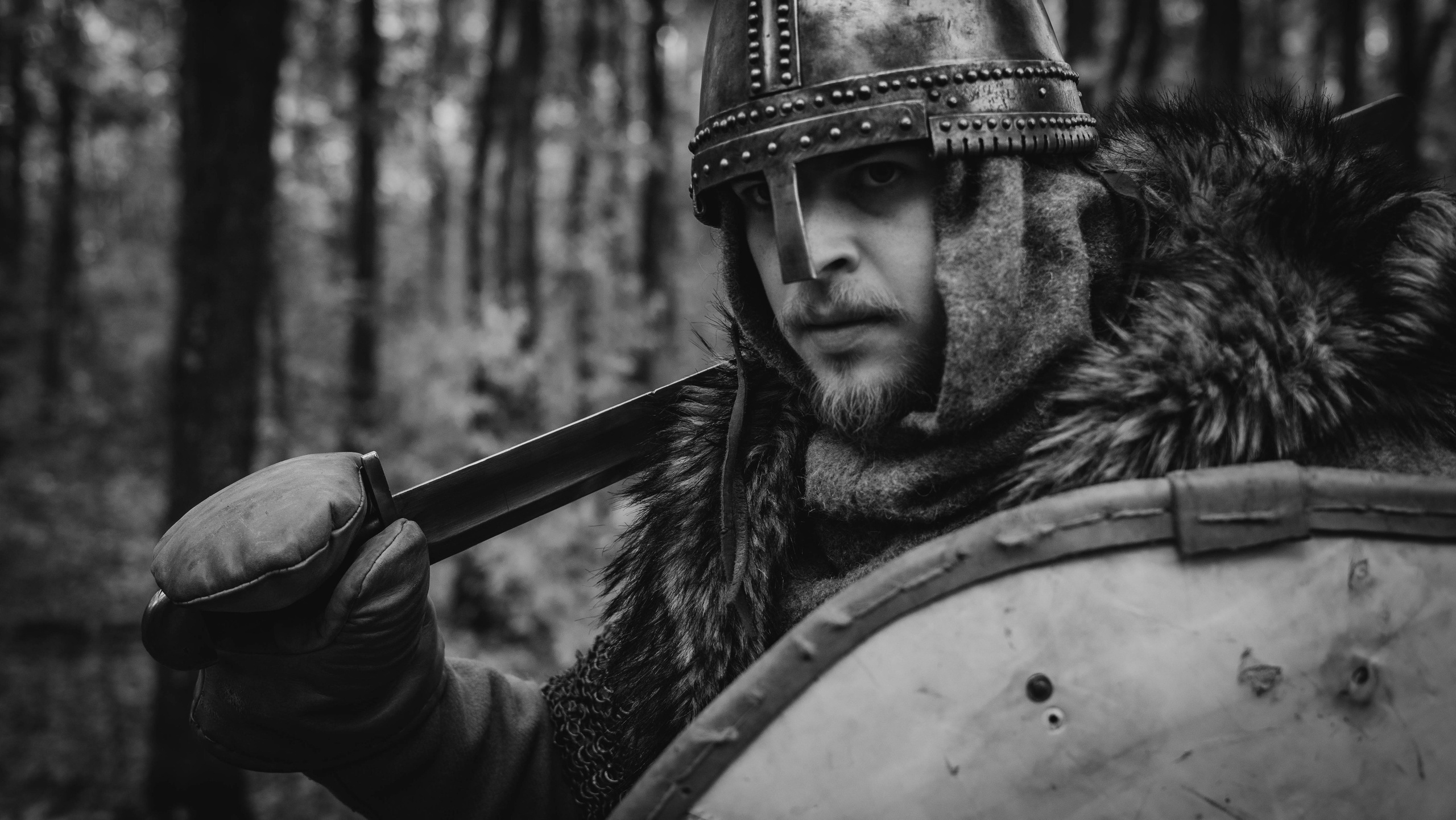 Викинг. Ab extra