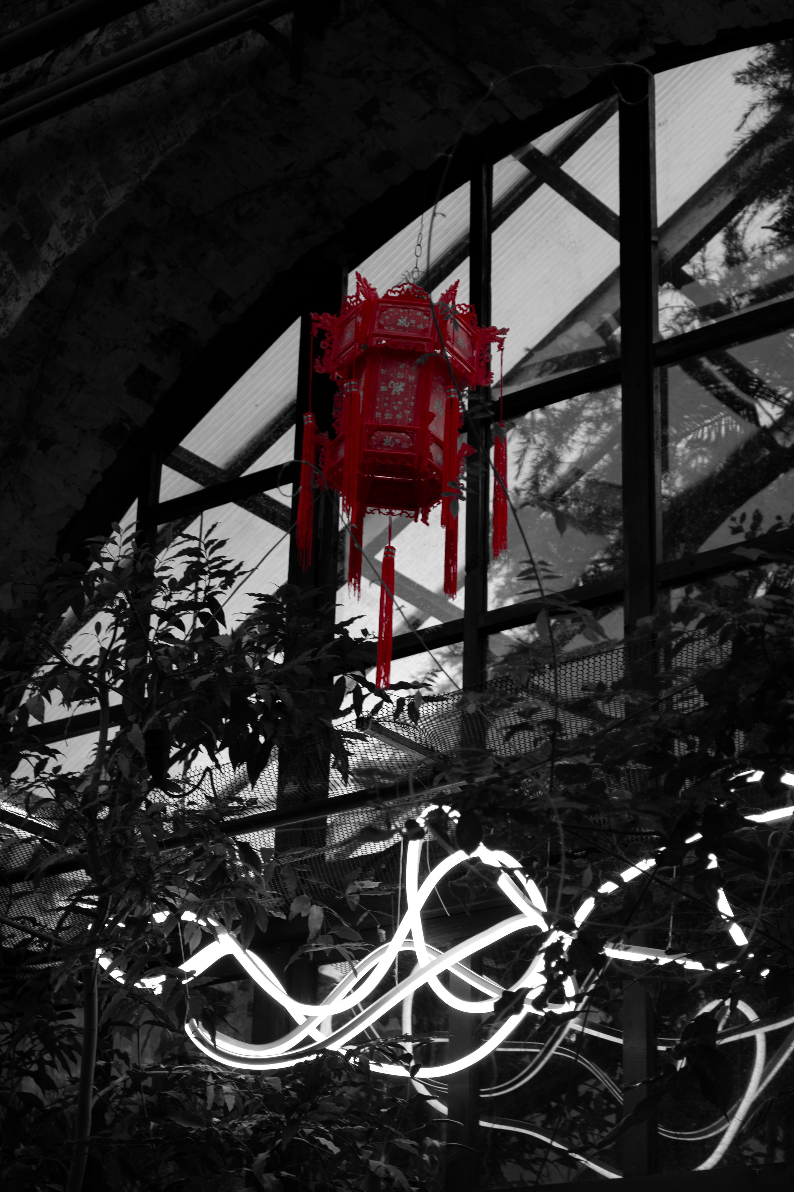 Red. Dumshap | думшап