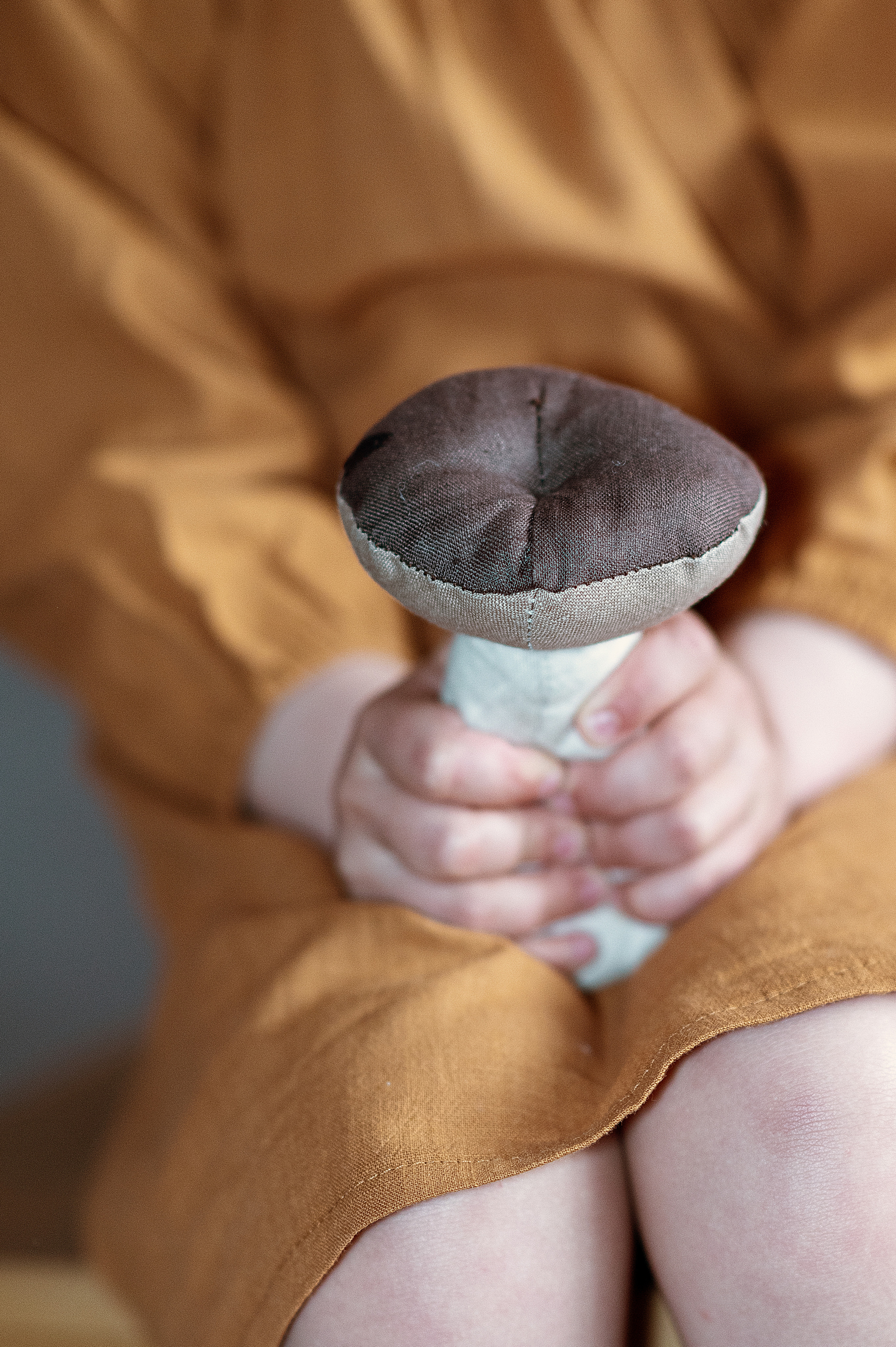 Белка. Детский фотограф Абхазия