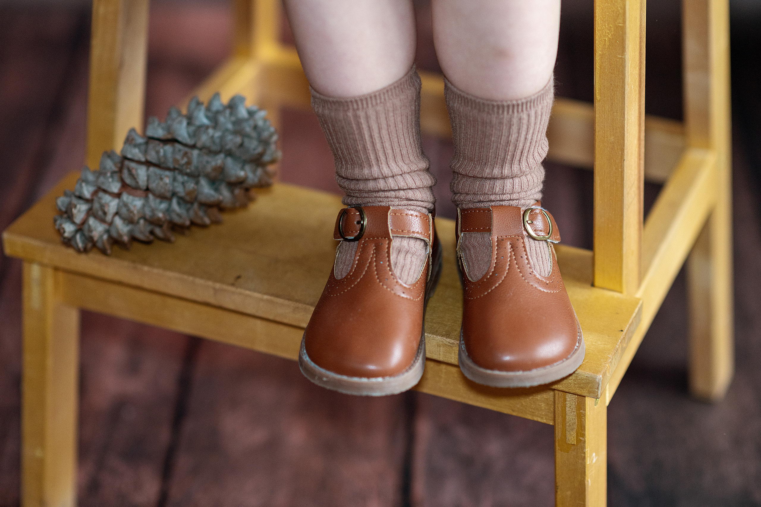 Белка. Детский фотограф Абхазия