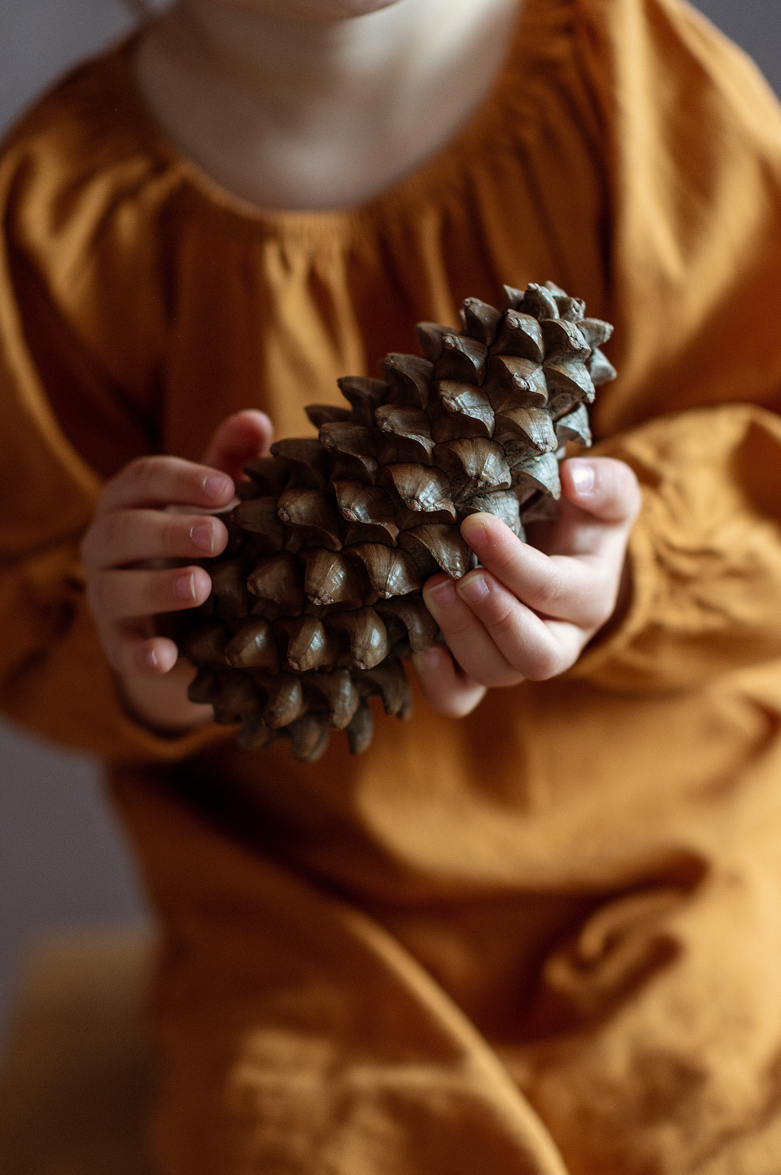 Белка. Детский фотограф Абхазия