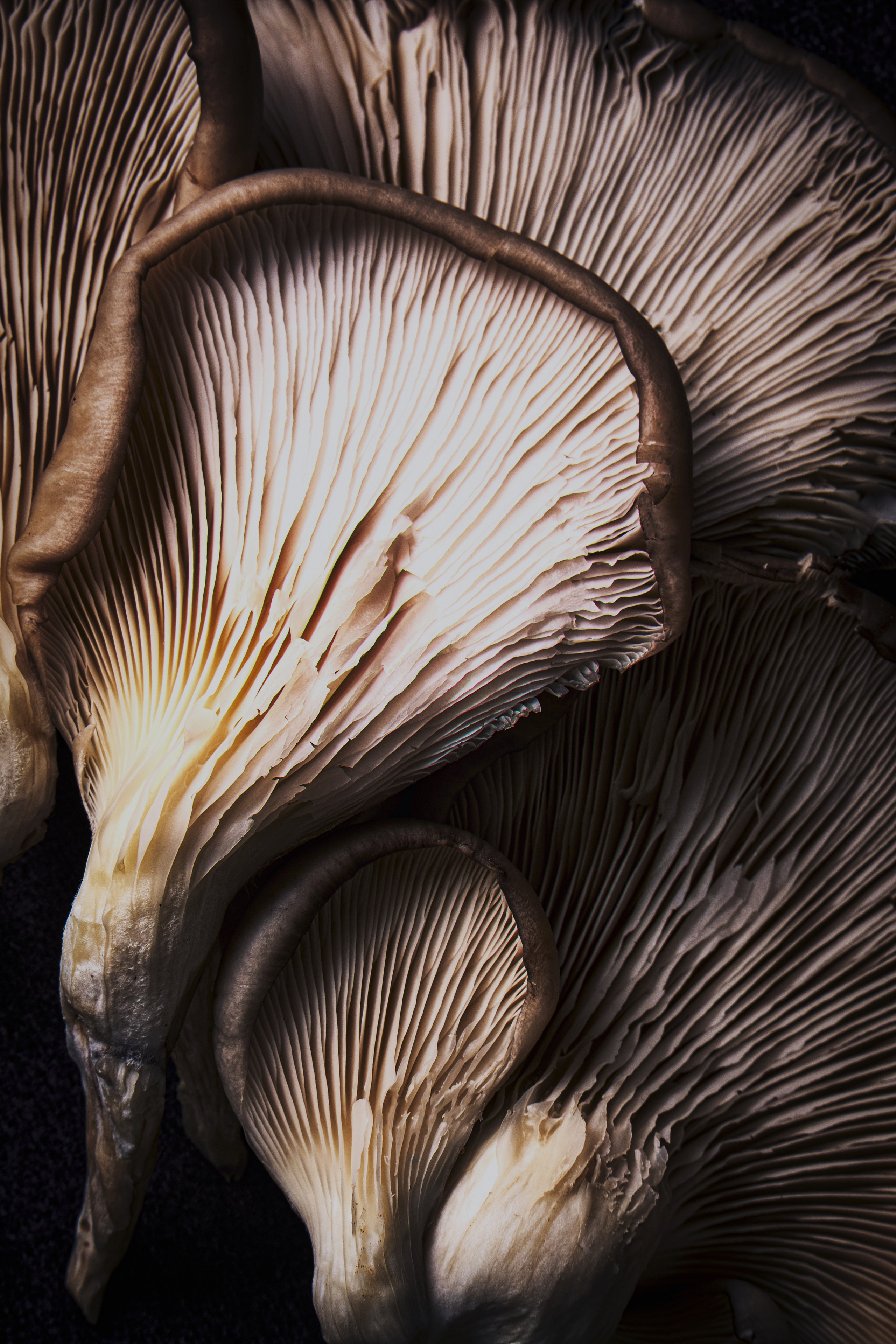 Я  фотограф. Работаю в городе Москва,