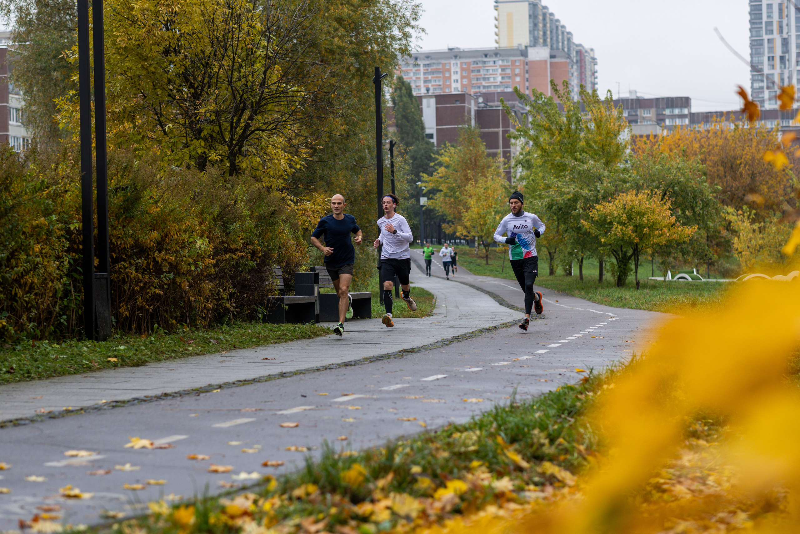 5 вёрст в Митино, 11.10.25. Фотограф Сергей Ловкий