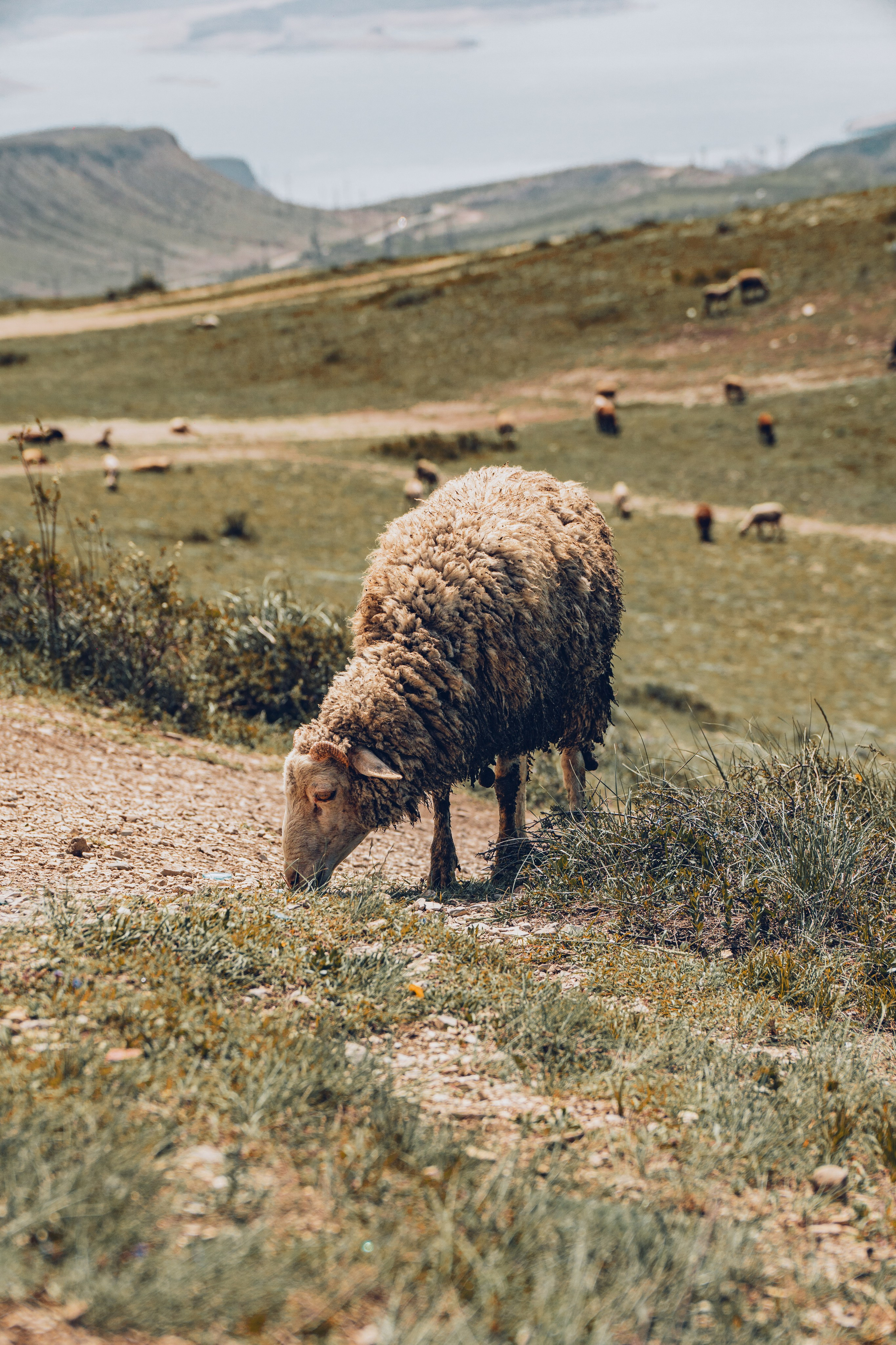 Дагестан. Gusarov Travel Photography
