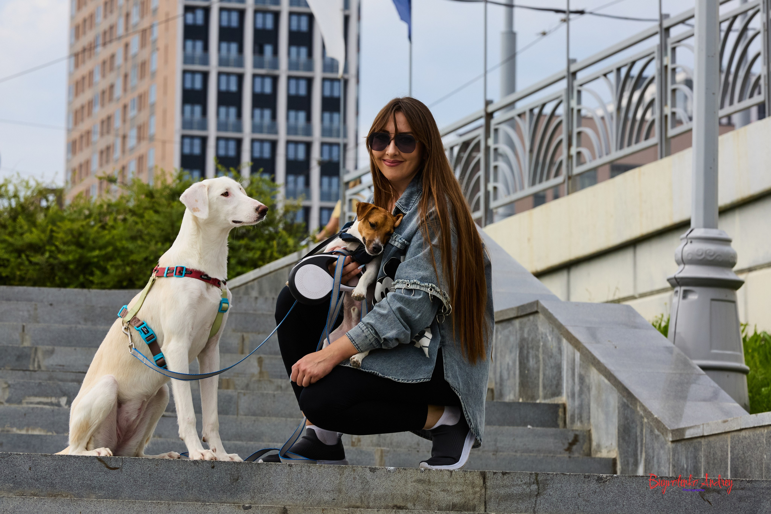 Проект фотопрогулка с хвостиком. Buyvolenko Andrey