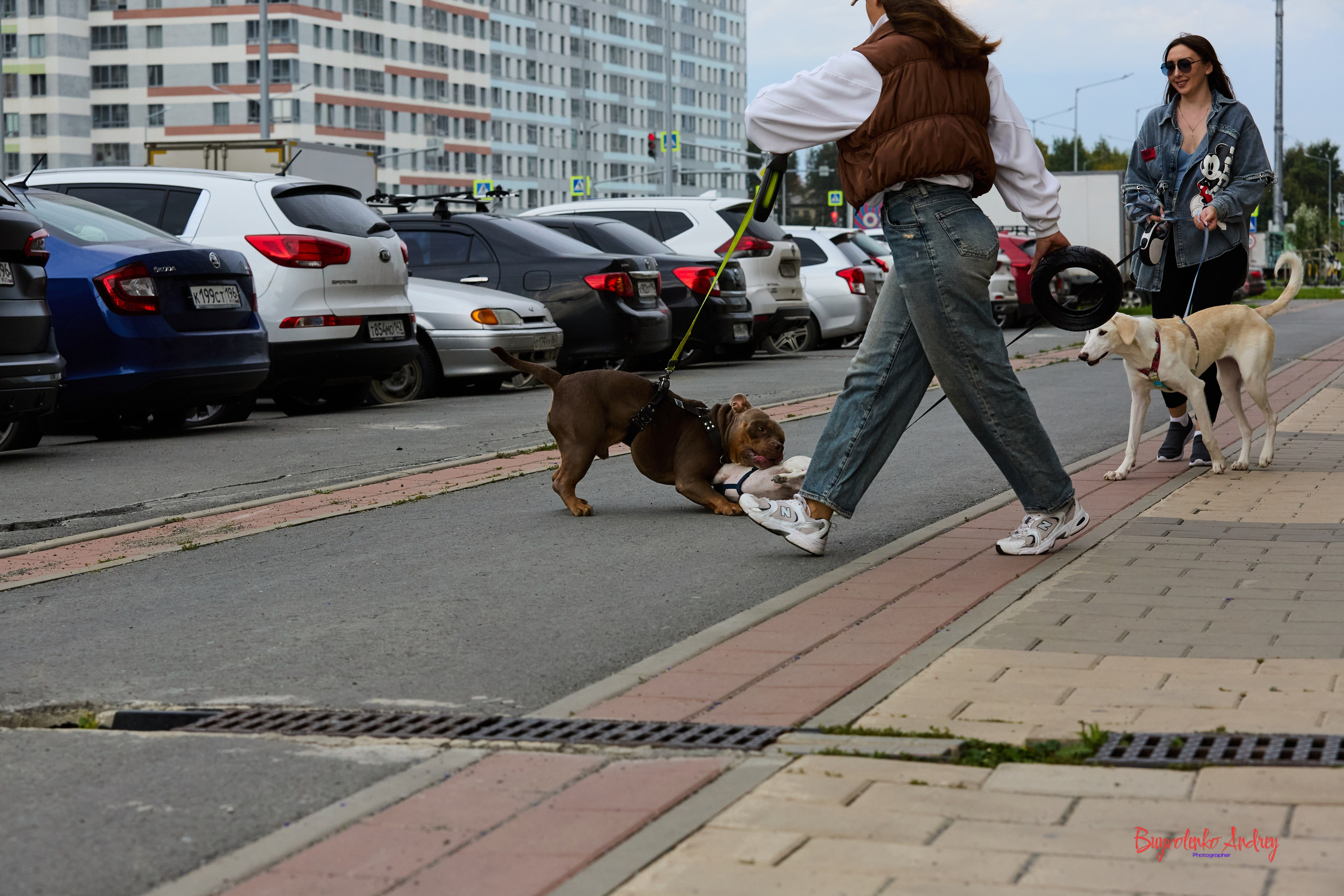 Проект фотопрогулка с хвостиком. Buyvolenko Andrey