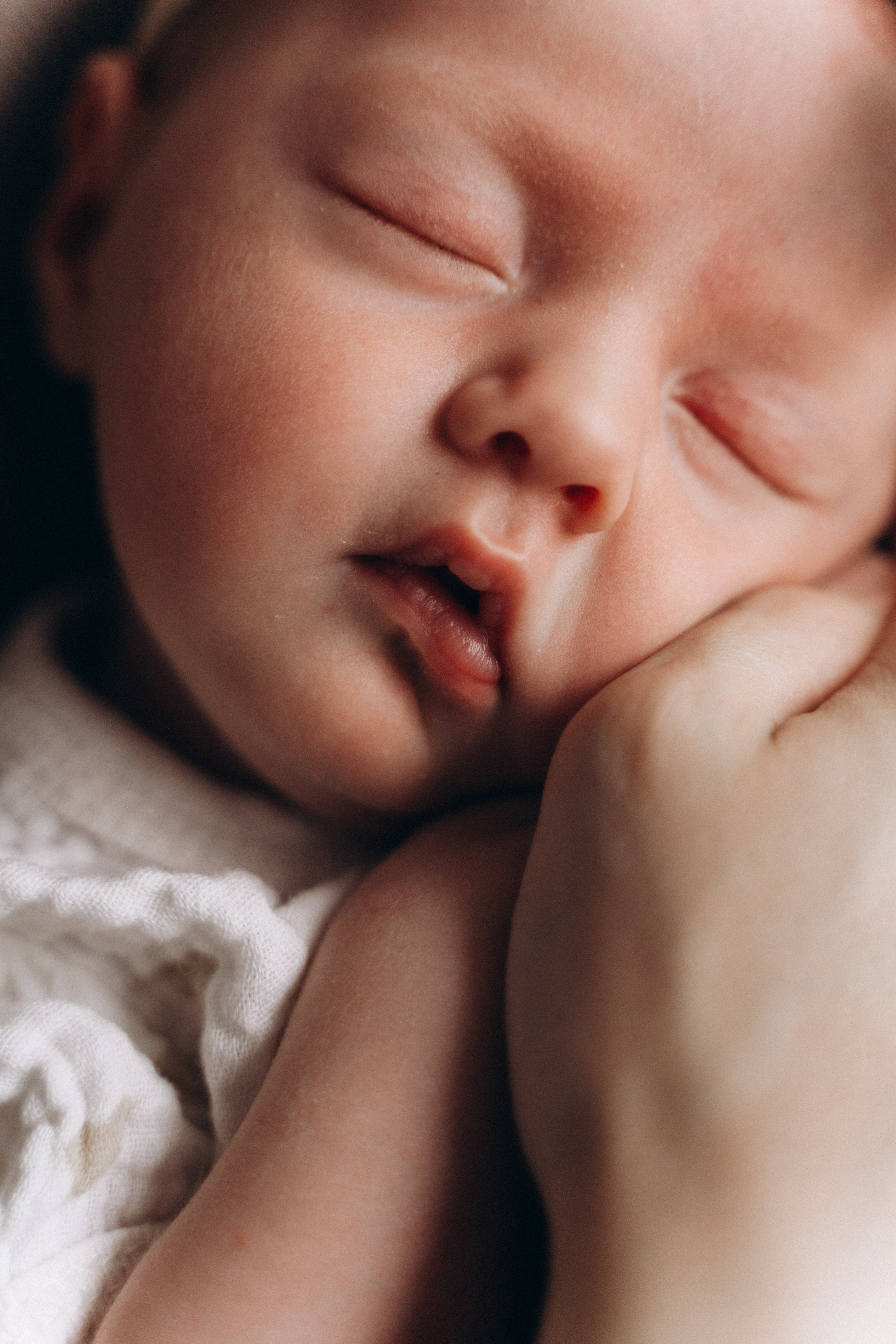 Вова, Катя, Гриша и Ася. Волик Мария