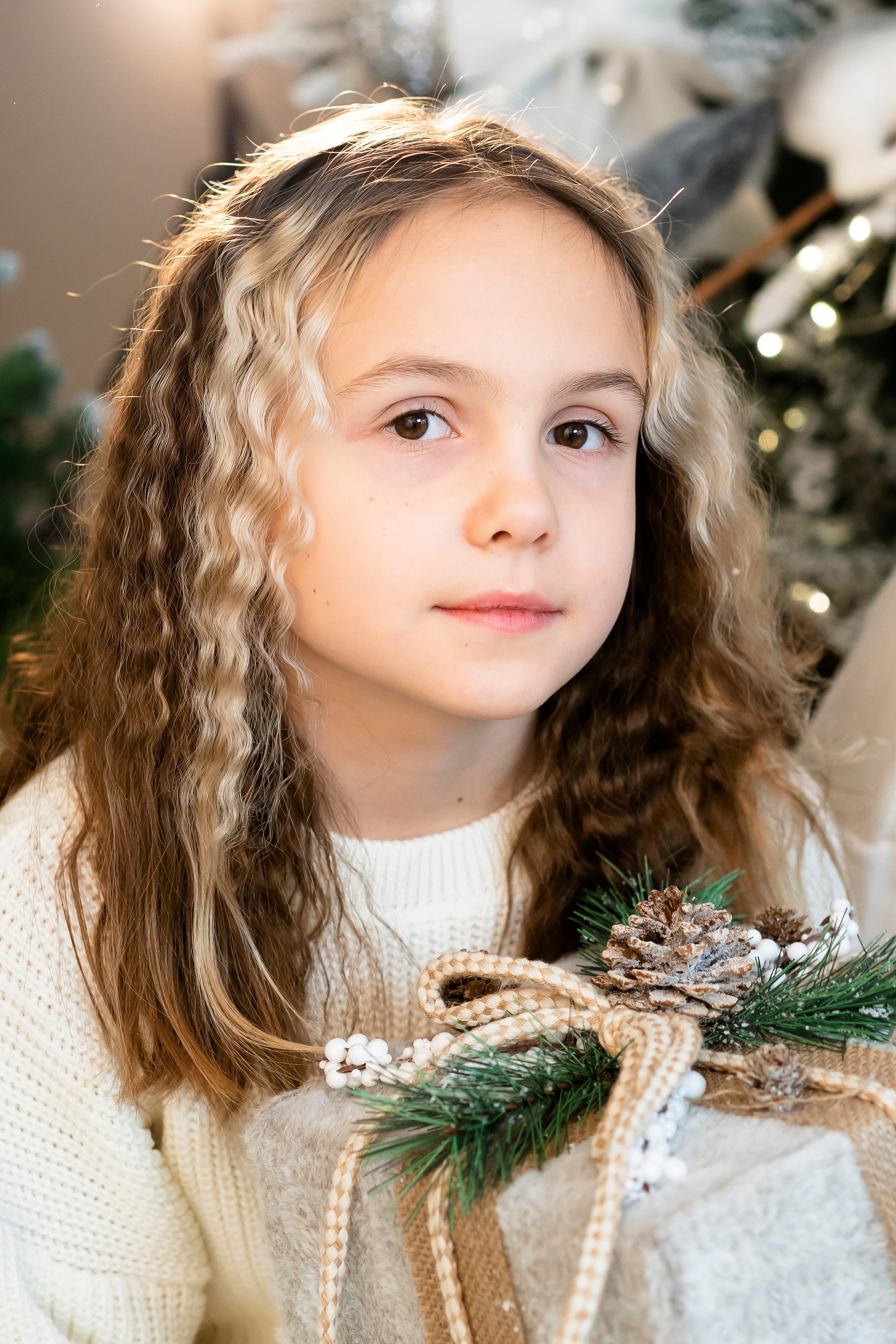 Новогодний в студии. Brand photographer