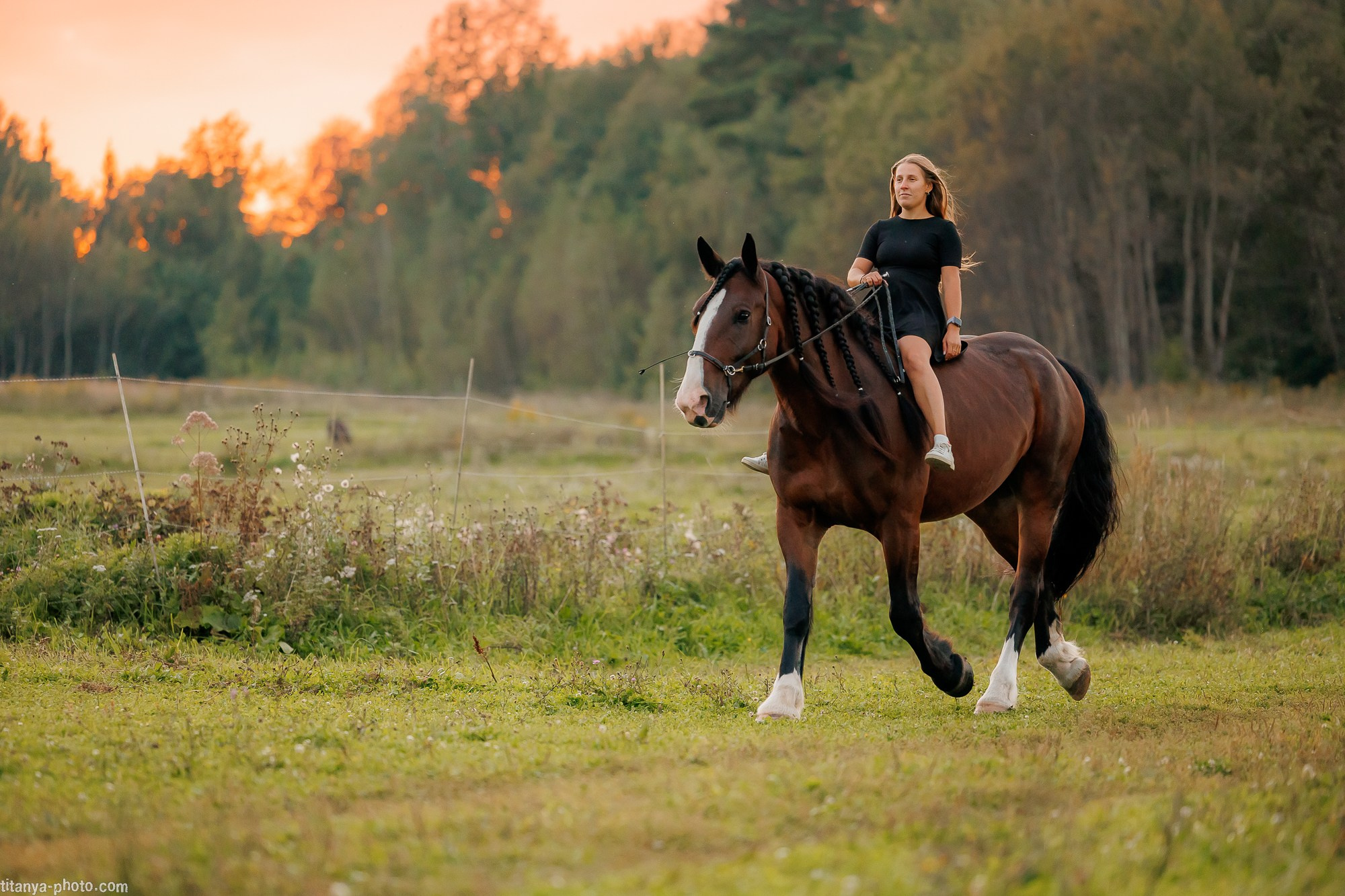 Закатная семейная фотосессия: про Настю и её дружную семью. Фотограф собак, фотограф-анималист Аня Титова (Titanya). Москва