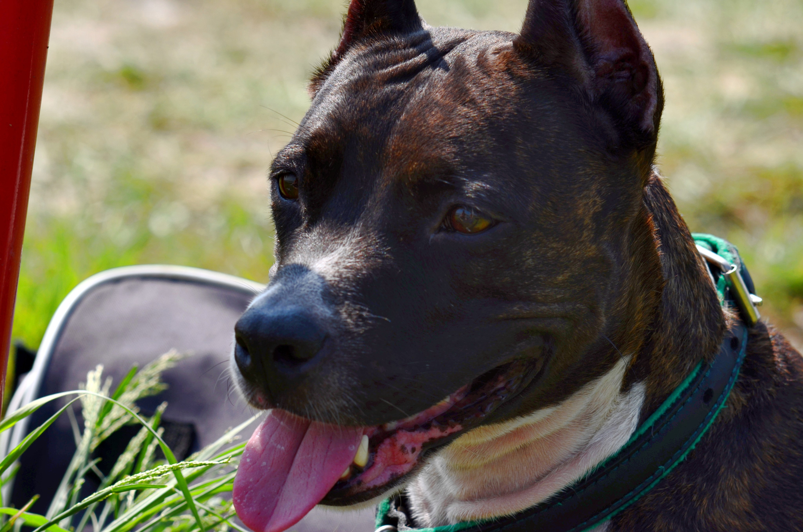 Портрет. Фотограф viktor viktor