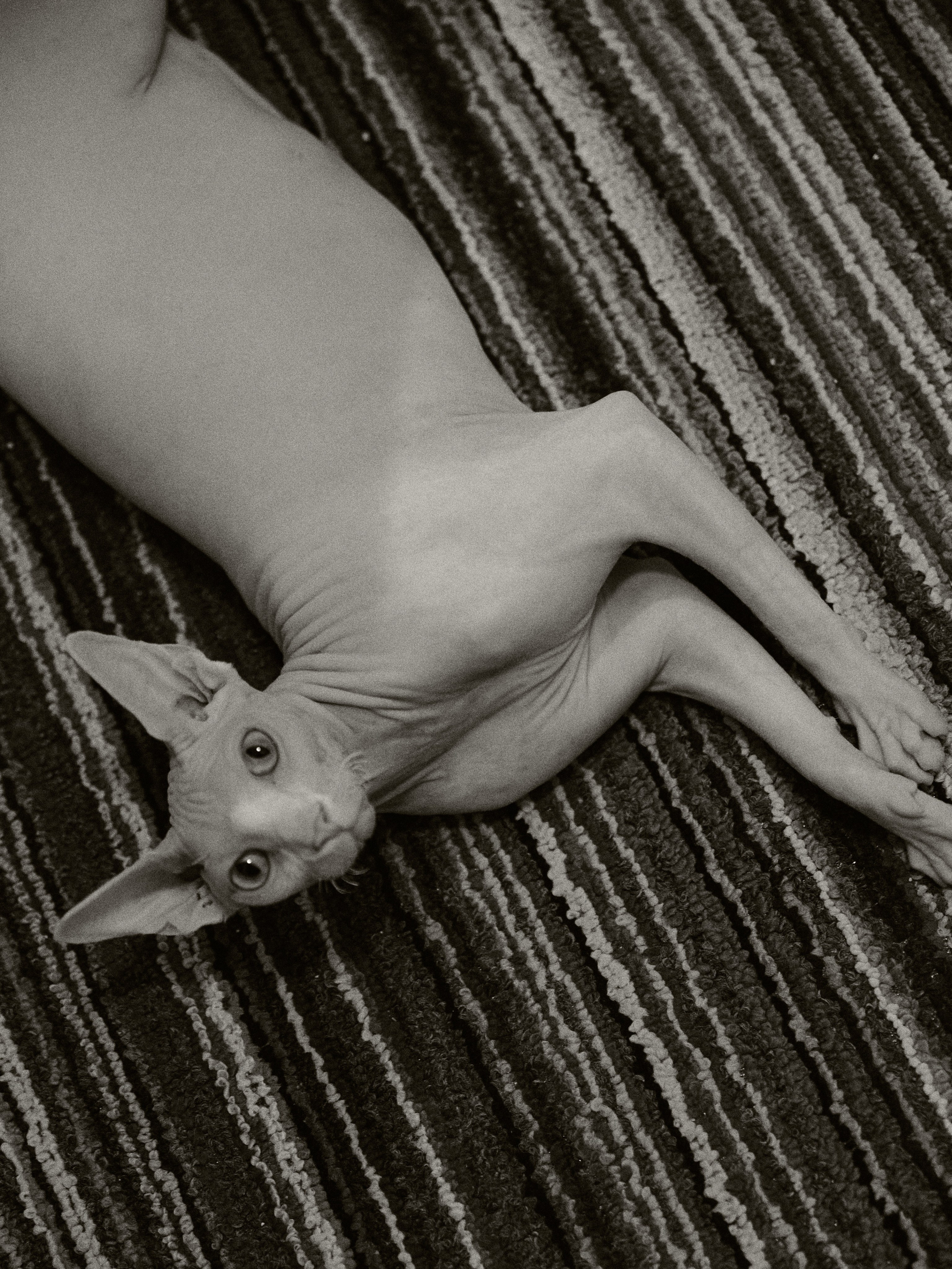 B&W. Jorgis — фотограф в Хургаде / обучение фотографии