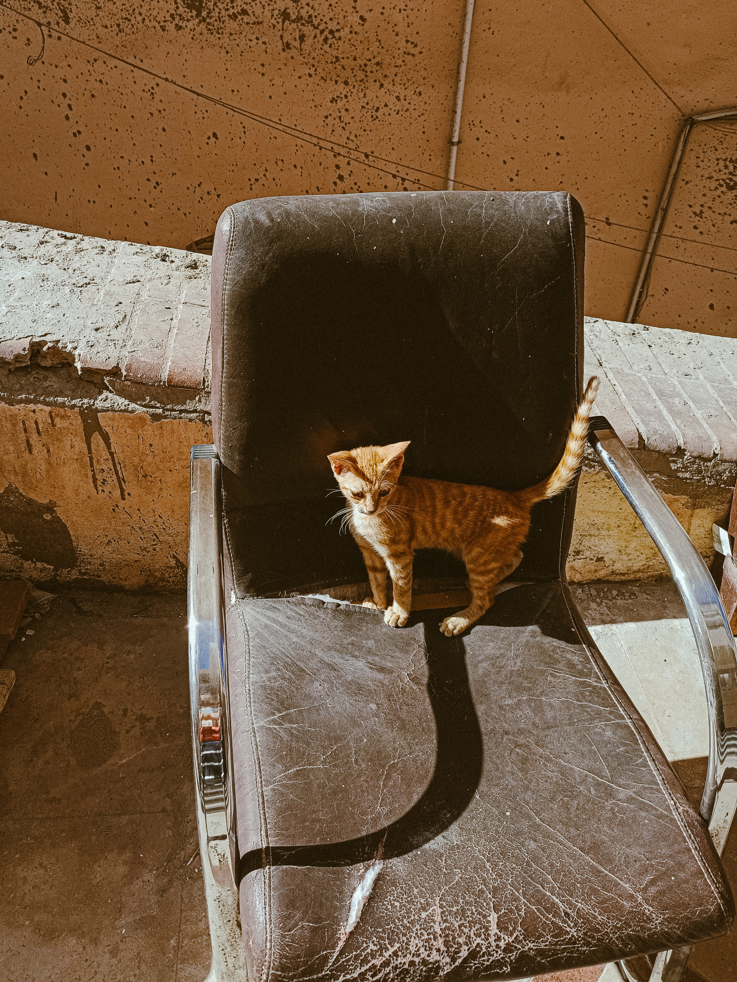 Мобильная. Jorgis — фотограф в Хургаде / обучение фотографии