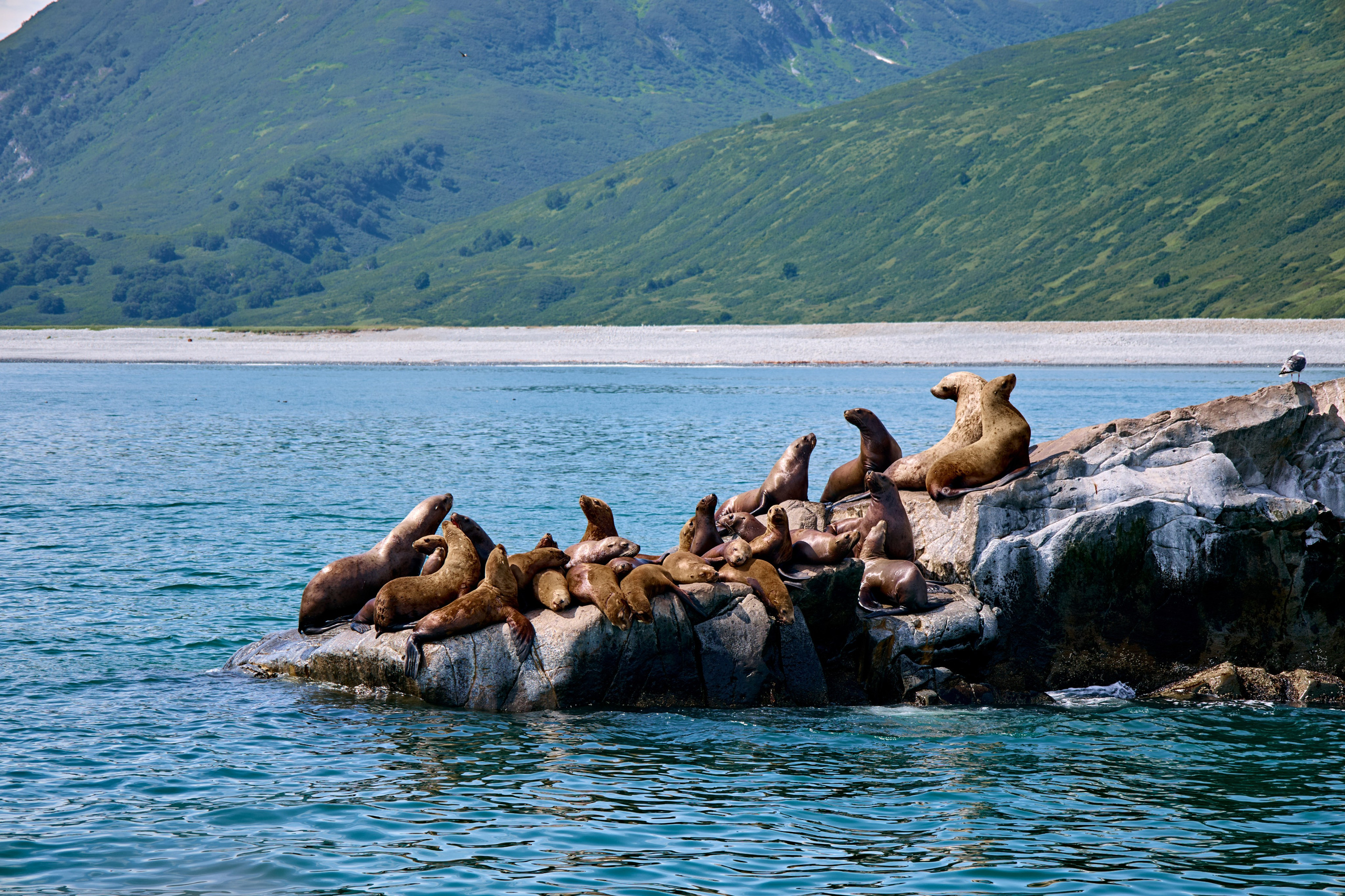 Камчатка. Travel-фотограф Ирина Милинцова