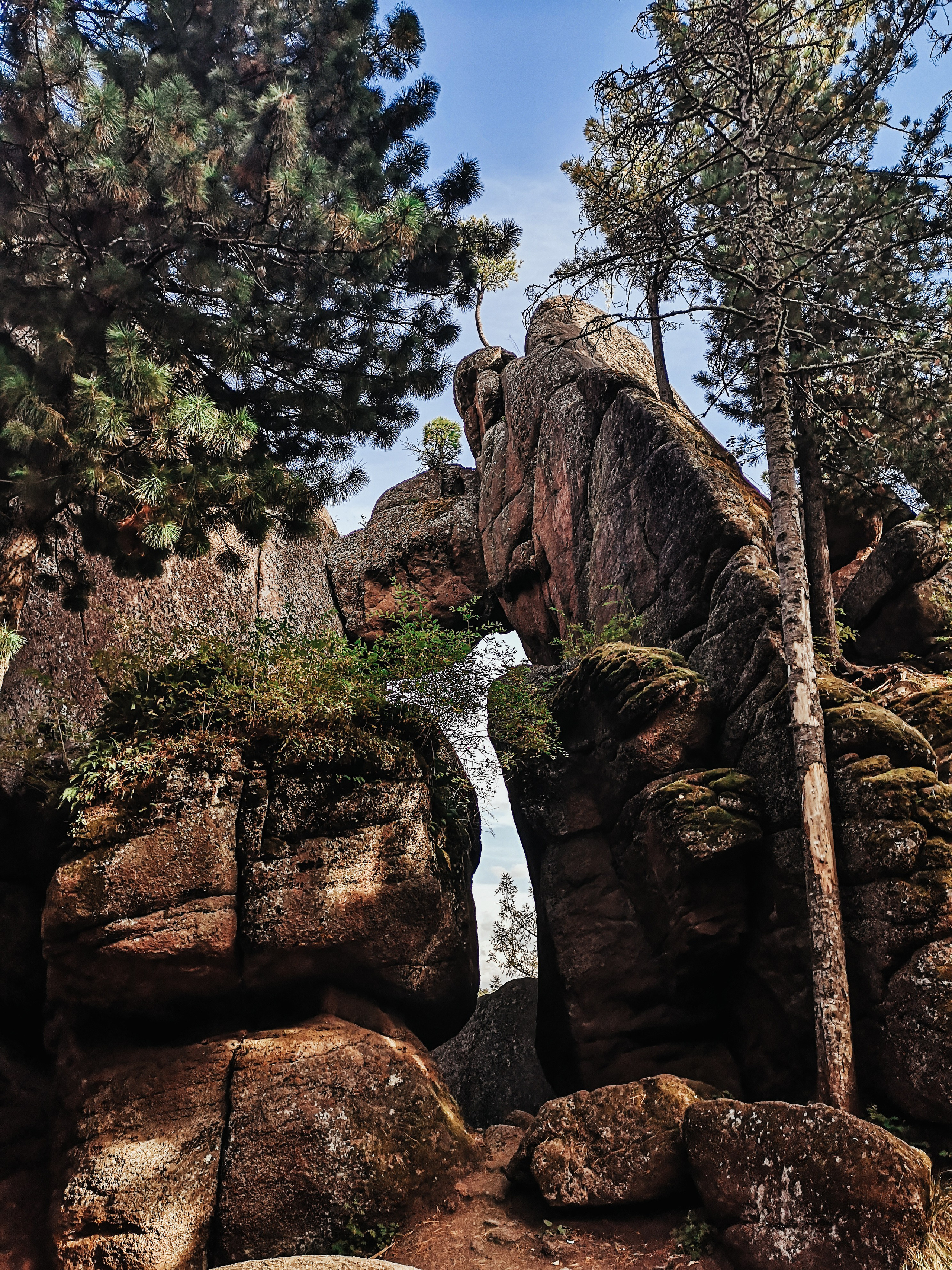 Красноярские столбы. Travel-фотограф Ирина Милинцова