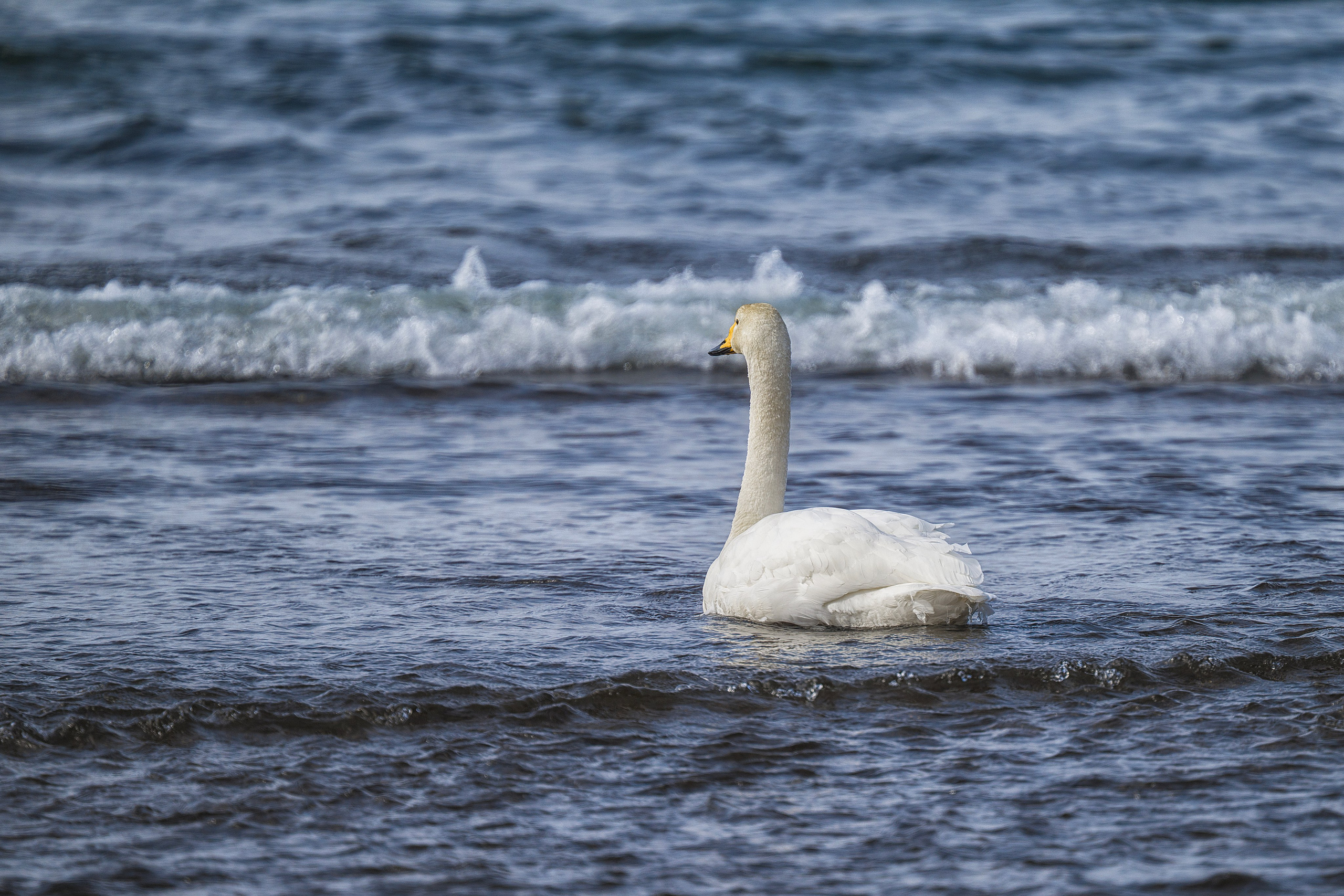 Курильские острова. Портретный фотограф в Челябинске Катерина Руди