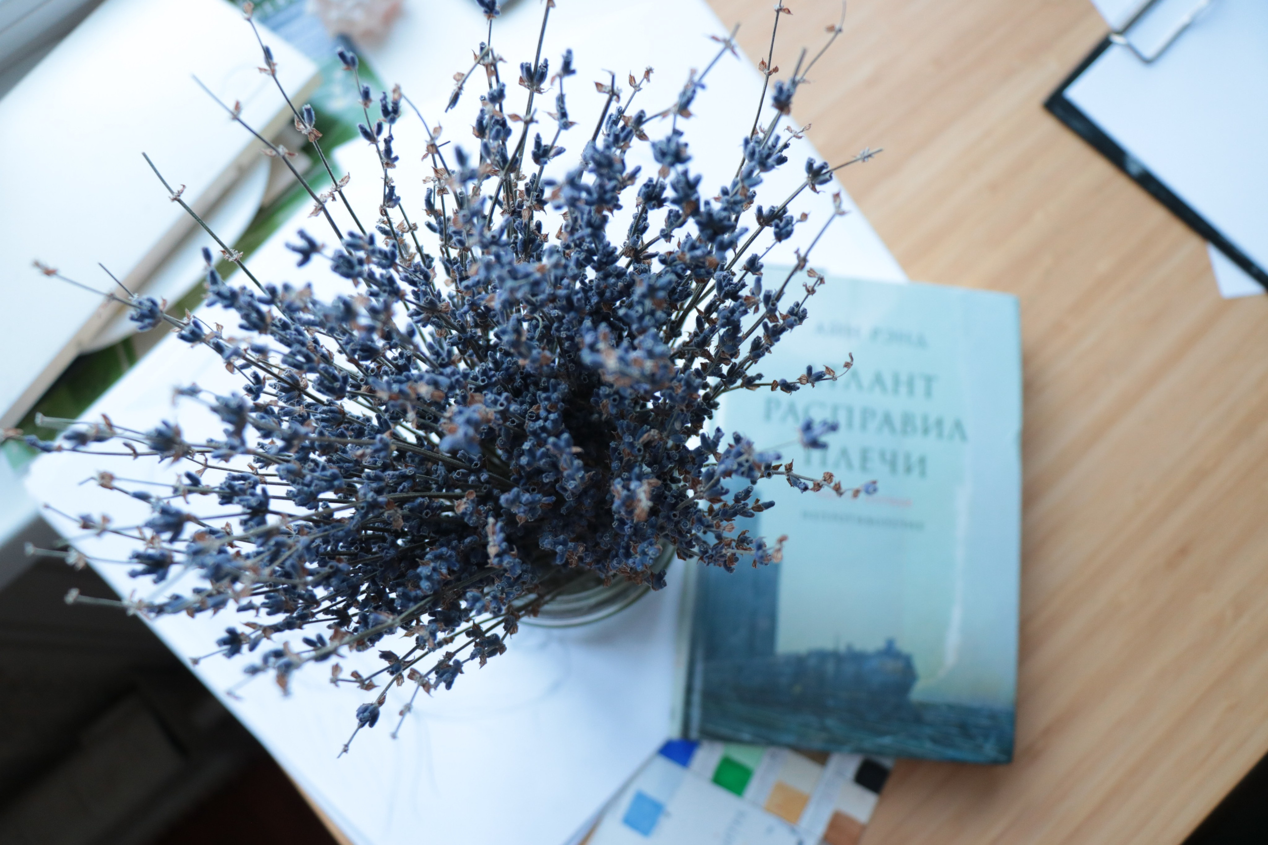 фотография для контента