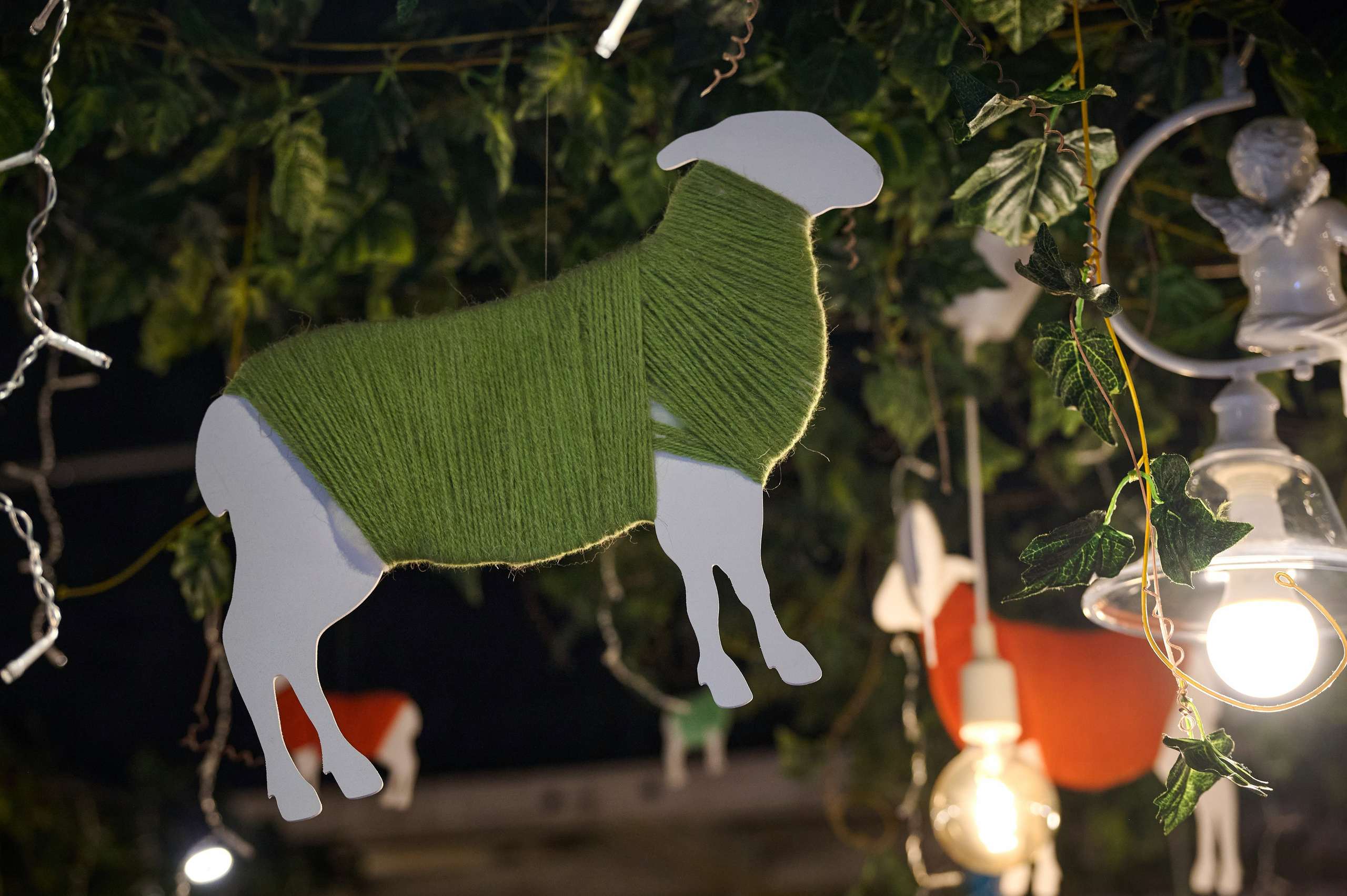 Хочу Пури 3 года. Фотограф Опыт Качество Скорость Горный Алтай Барнаул