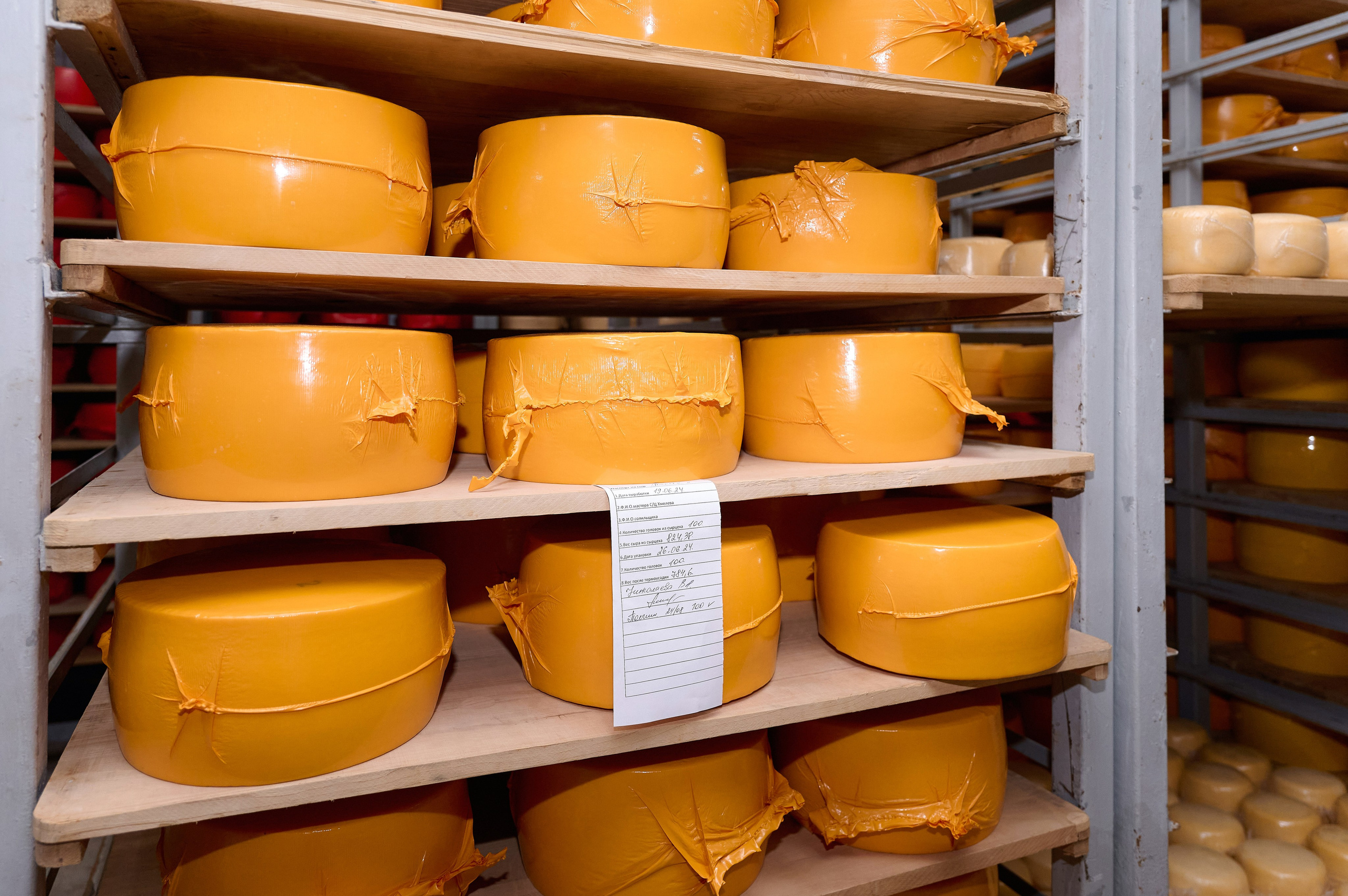 ЛДПР — честный план. Фотограф Опыт Качество Скорость Горный Алтай Барнаул