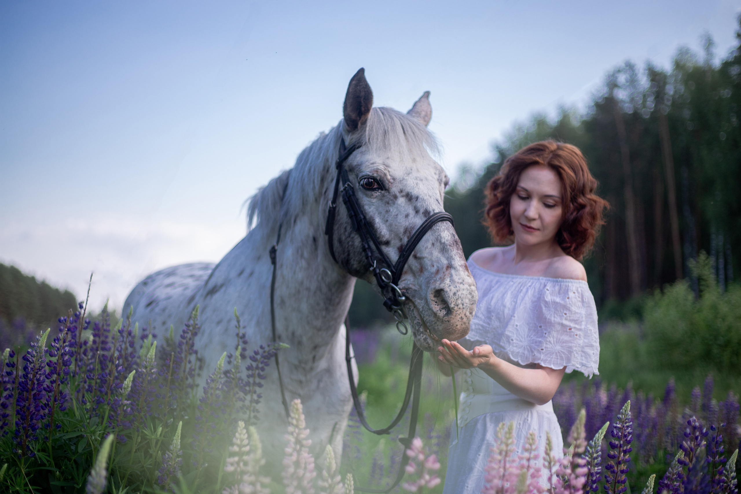 Фотосессии с лошадьми. Фотосессии с лошадьми в Москве и МО