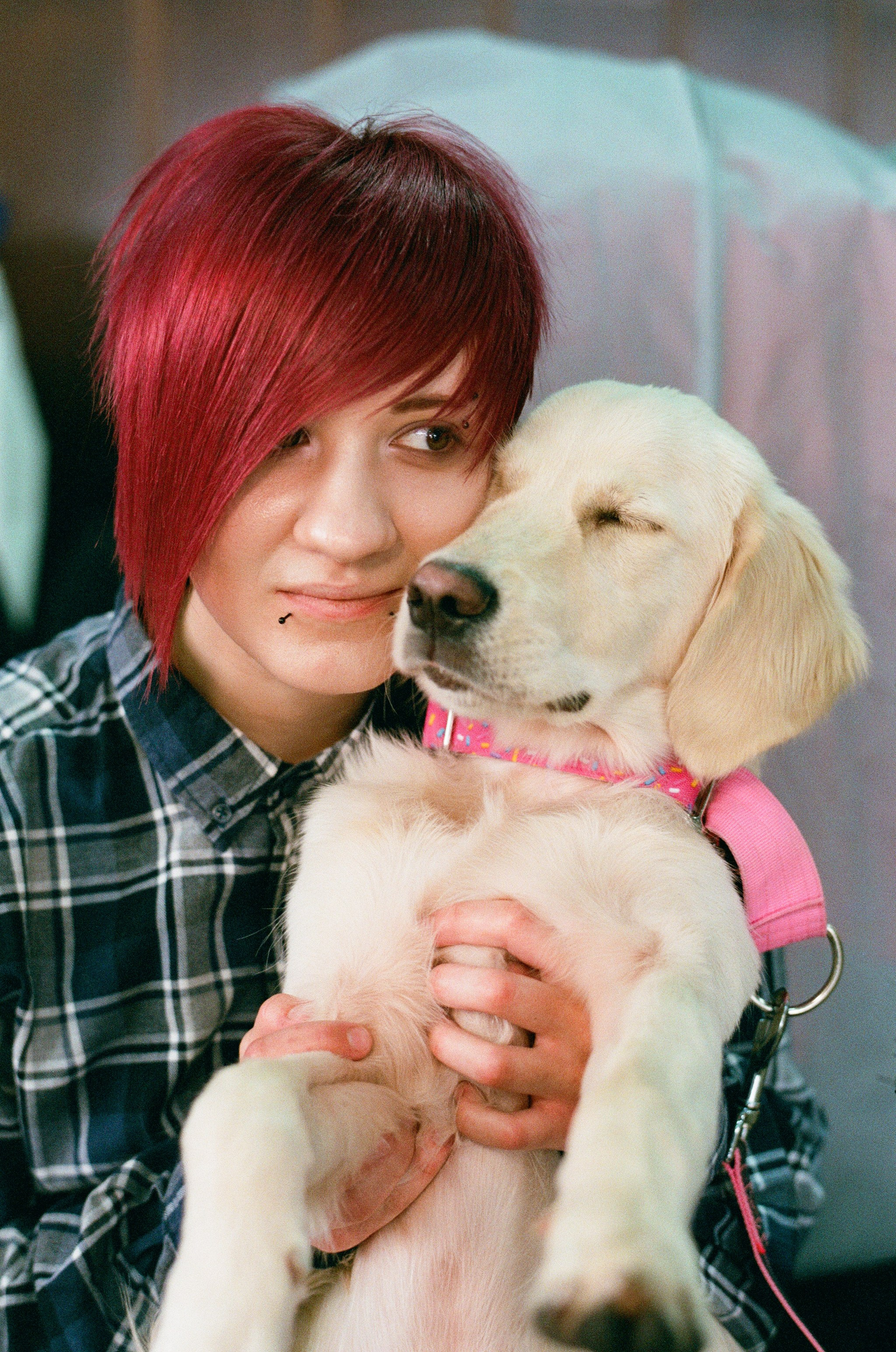 КиВиН-2024. #спецкорНвер