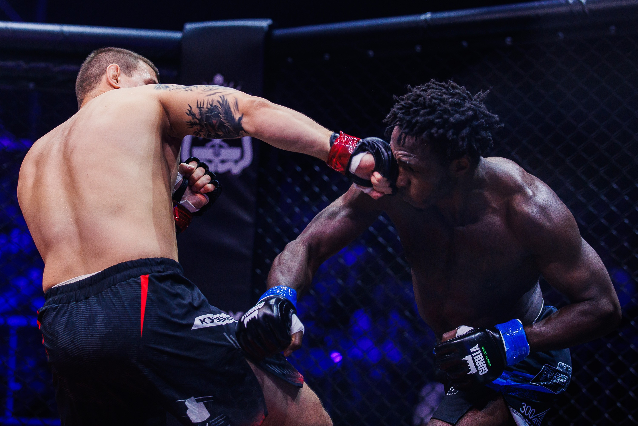 Битва за добро 2023. Photographer Danil Aykin