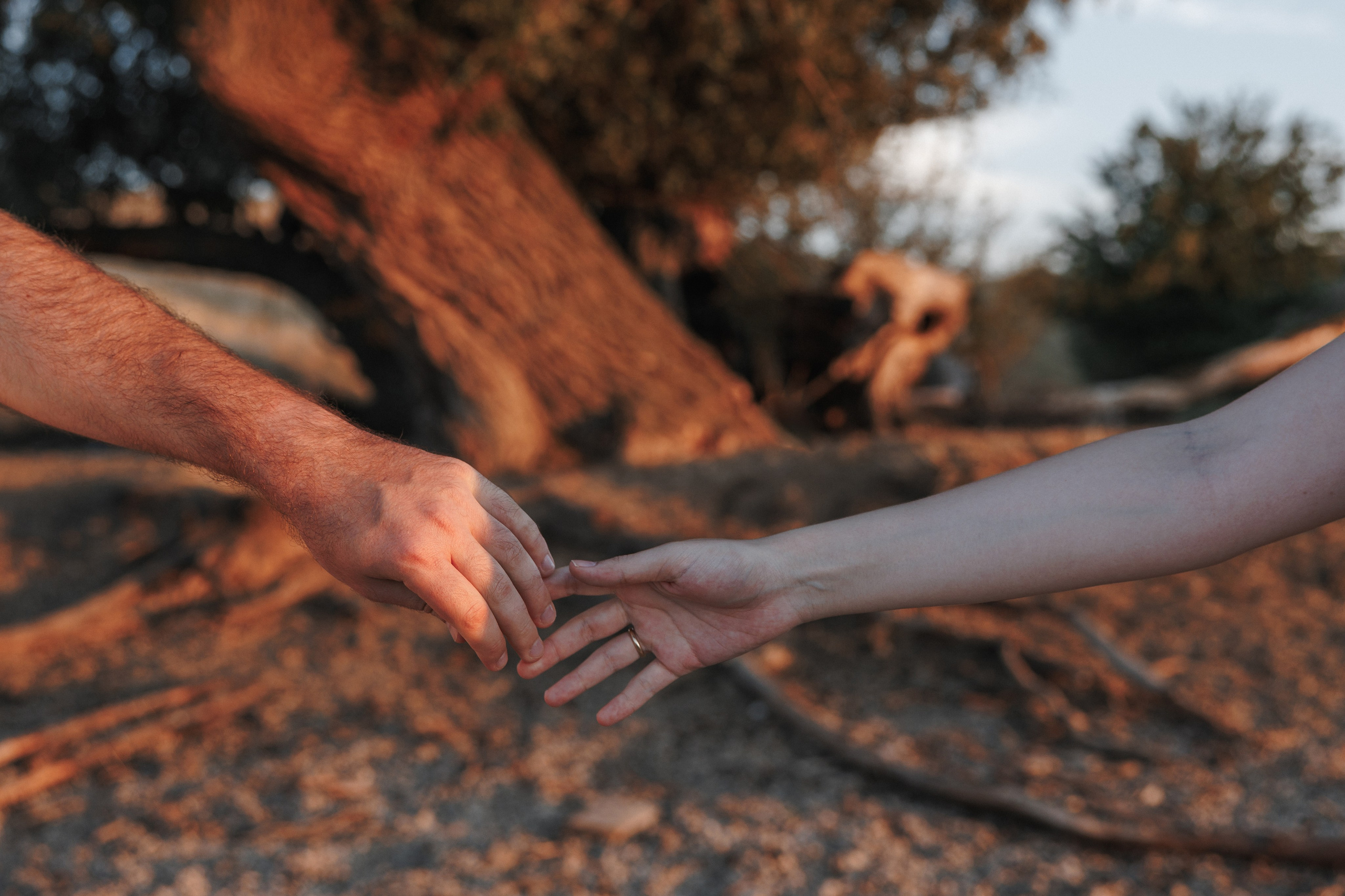 Марина и Валера. Свадебный фотограф Краснодар Ростов Солоникова Вероника