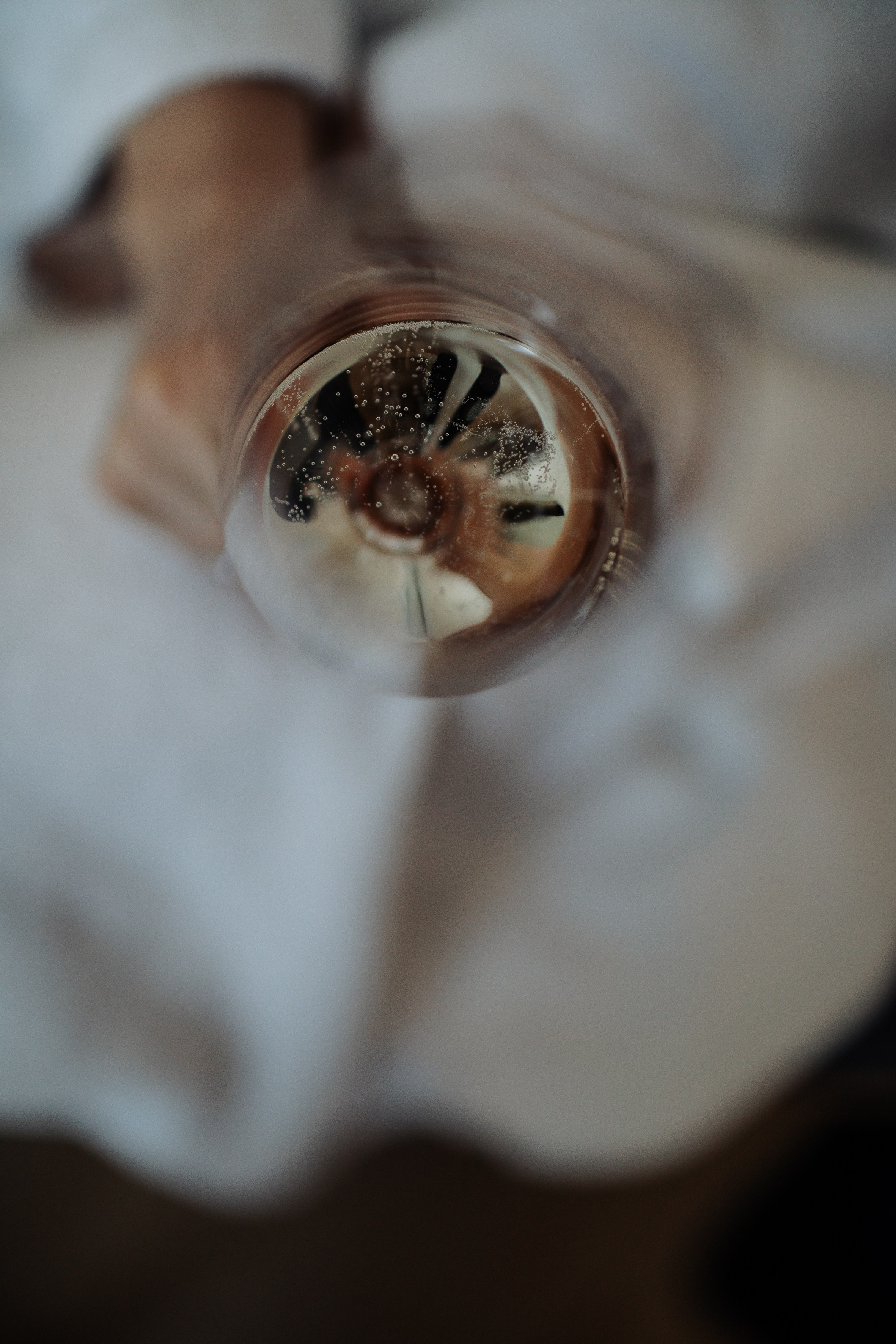 Denis & Anastasia. Alex-wedding.ru