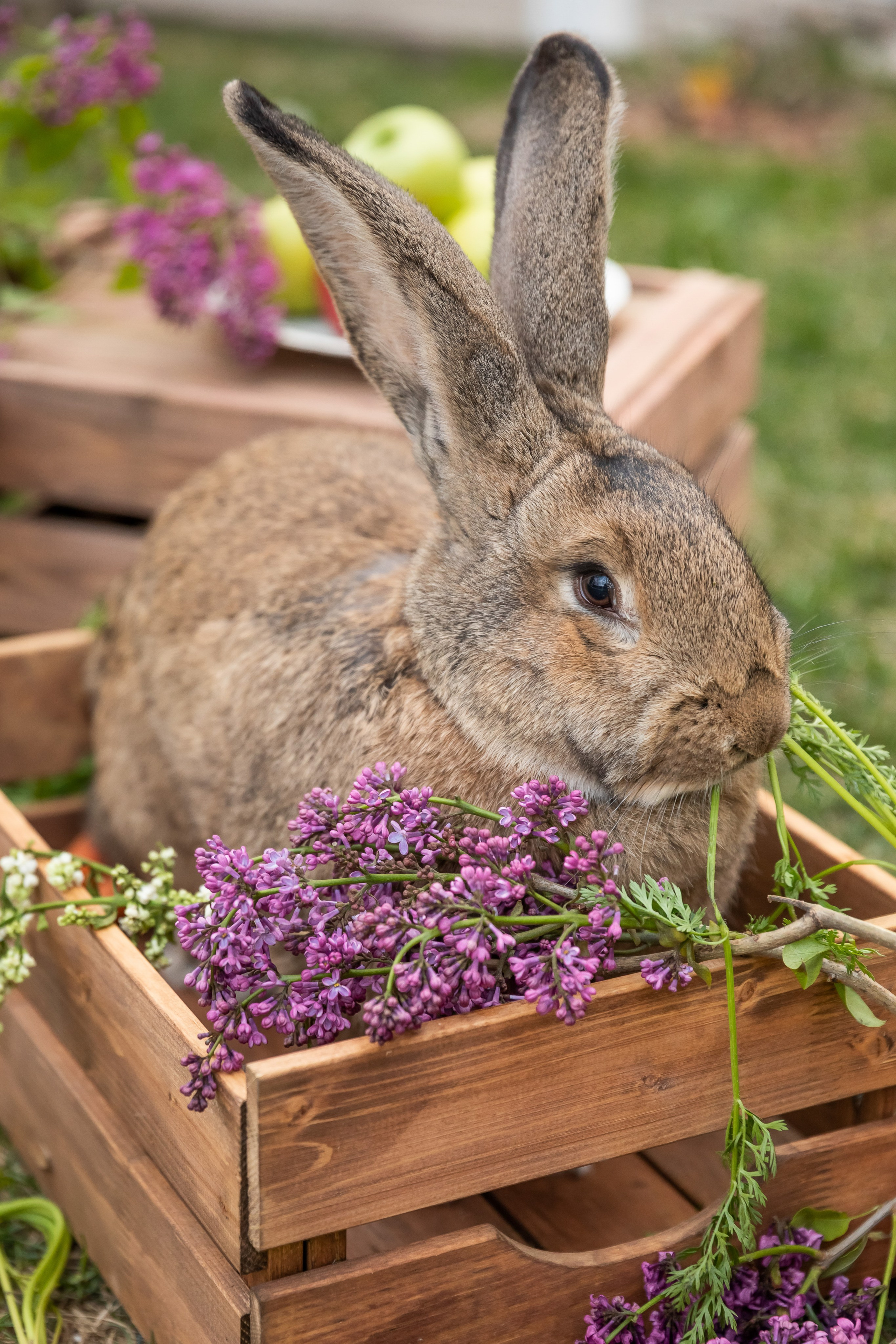 Съемка для проекта: Театрализованный ужин «Один летний день» в отеле Wawelberg. NesterovaMaria.ru