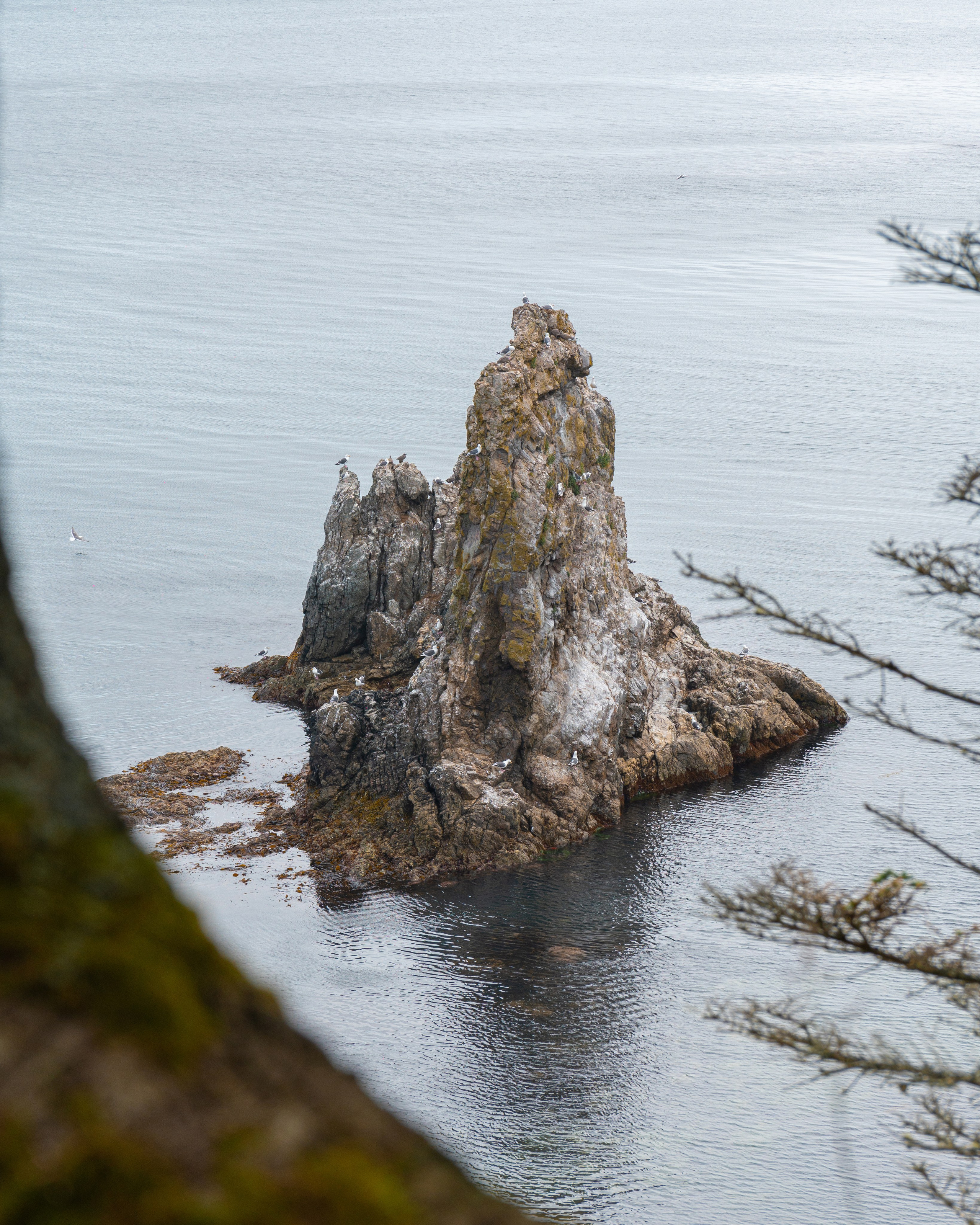 Сахалин. Gusarov Travel Photography