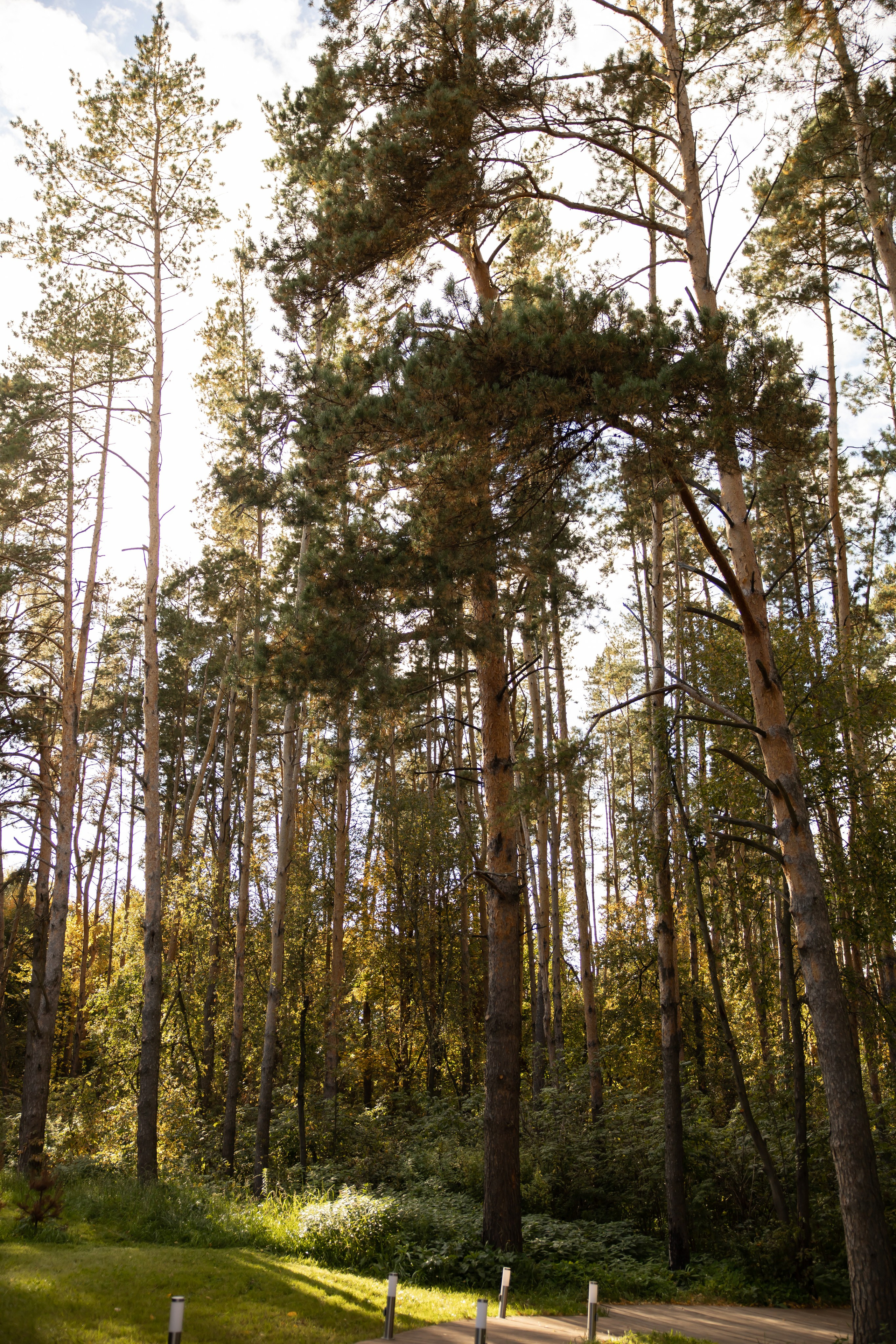 АЙЗАТ+ДИАНА. Фотограф Элла Ефимова