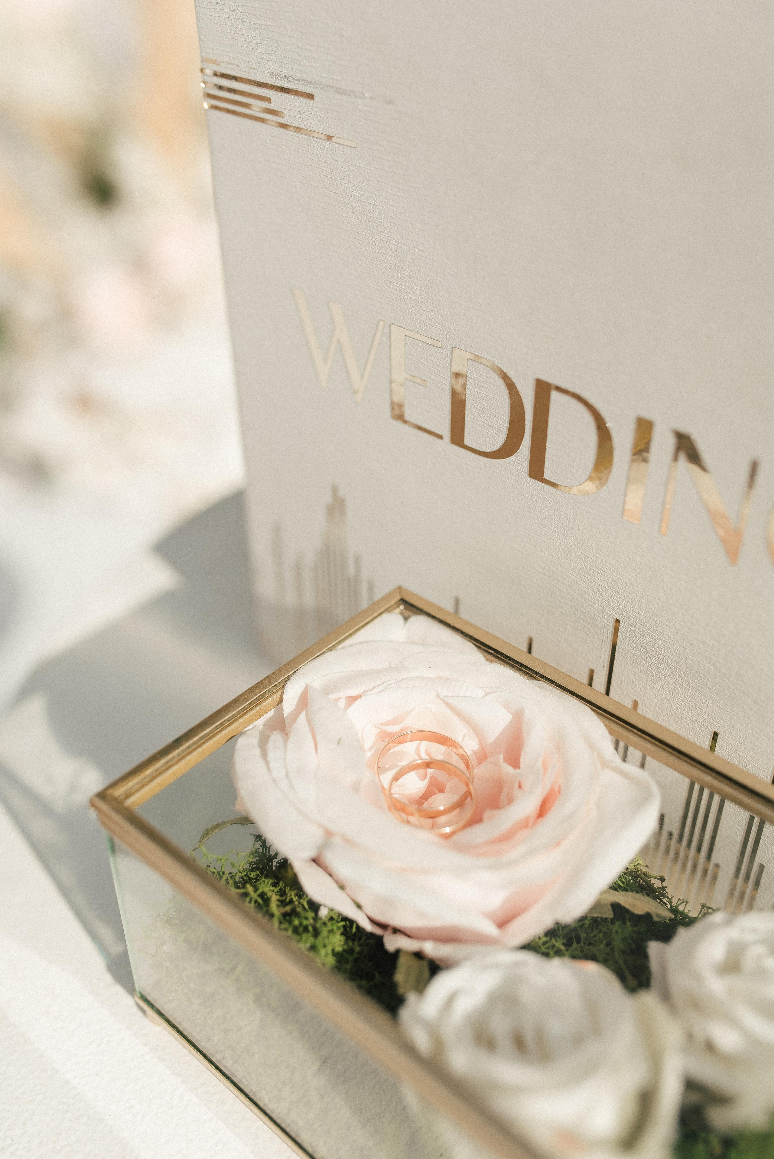 Алина и Арман. Фотограф Гилярова Злата Белгород