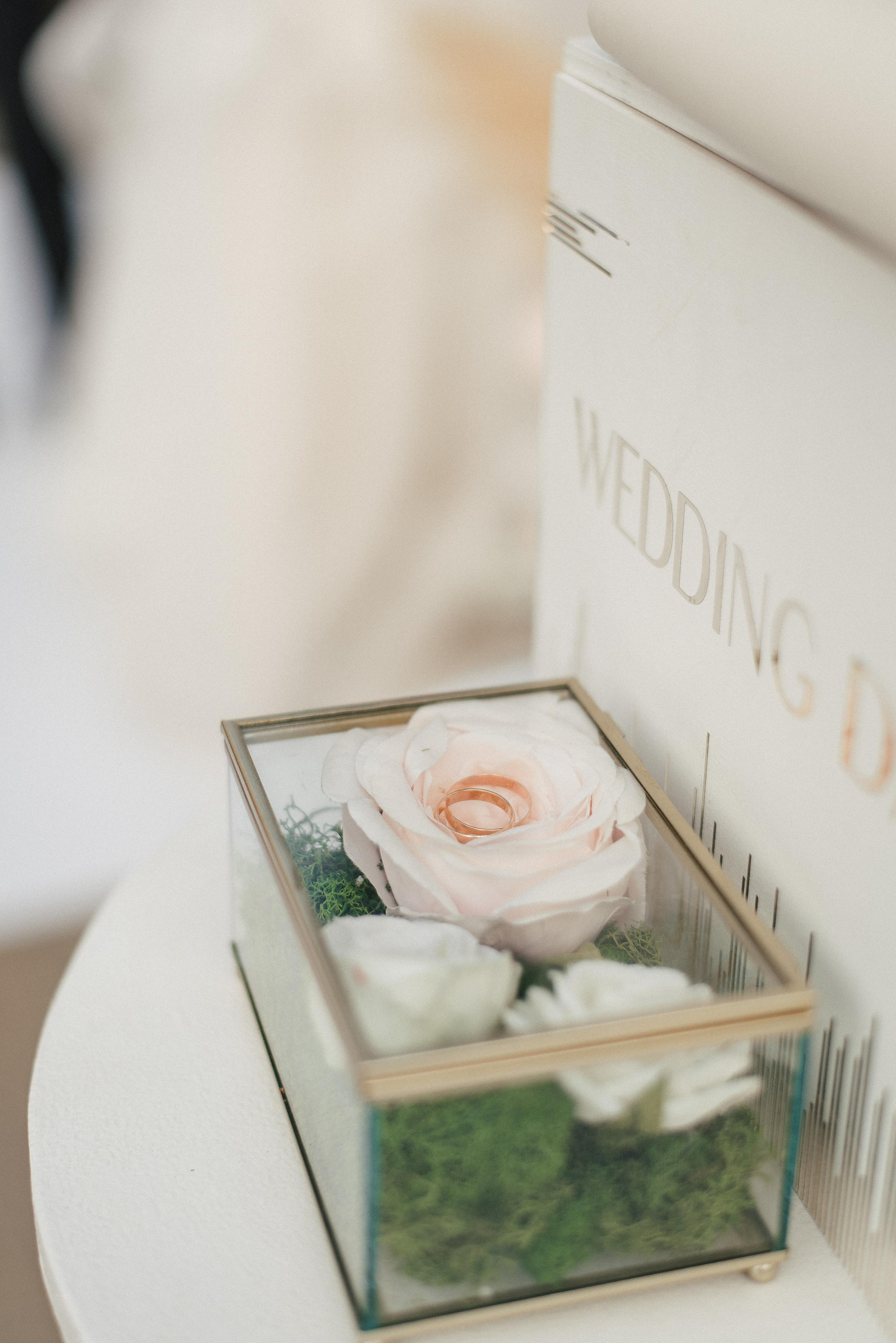 Алина и Арман. Фотограф Гилярова Злата Белгород