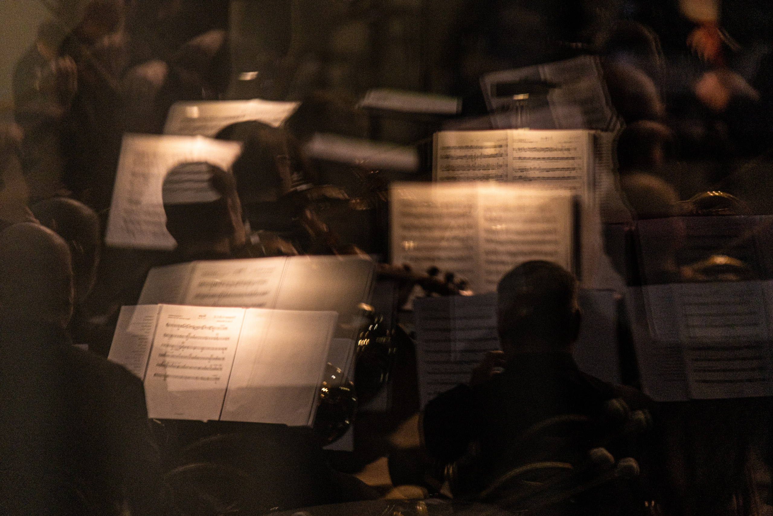 Оркестр приморской сцены Мариинского театра в ДВФУ. Олег Катакинов| Репортажный фотограф в городе у моря (Владивосток)