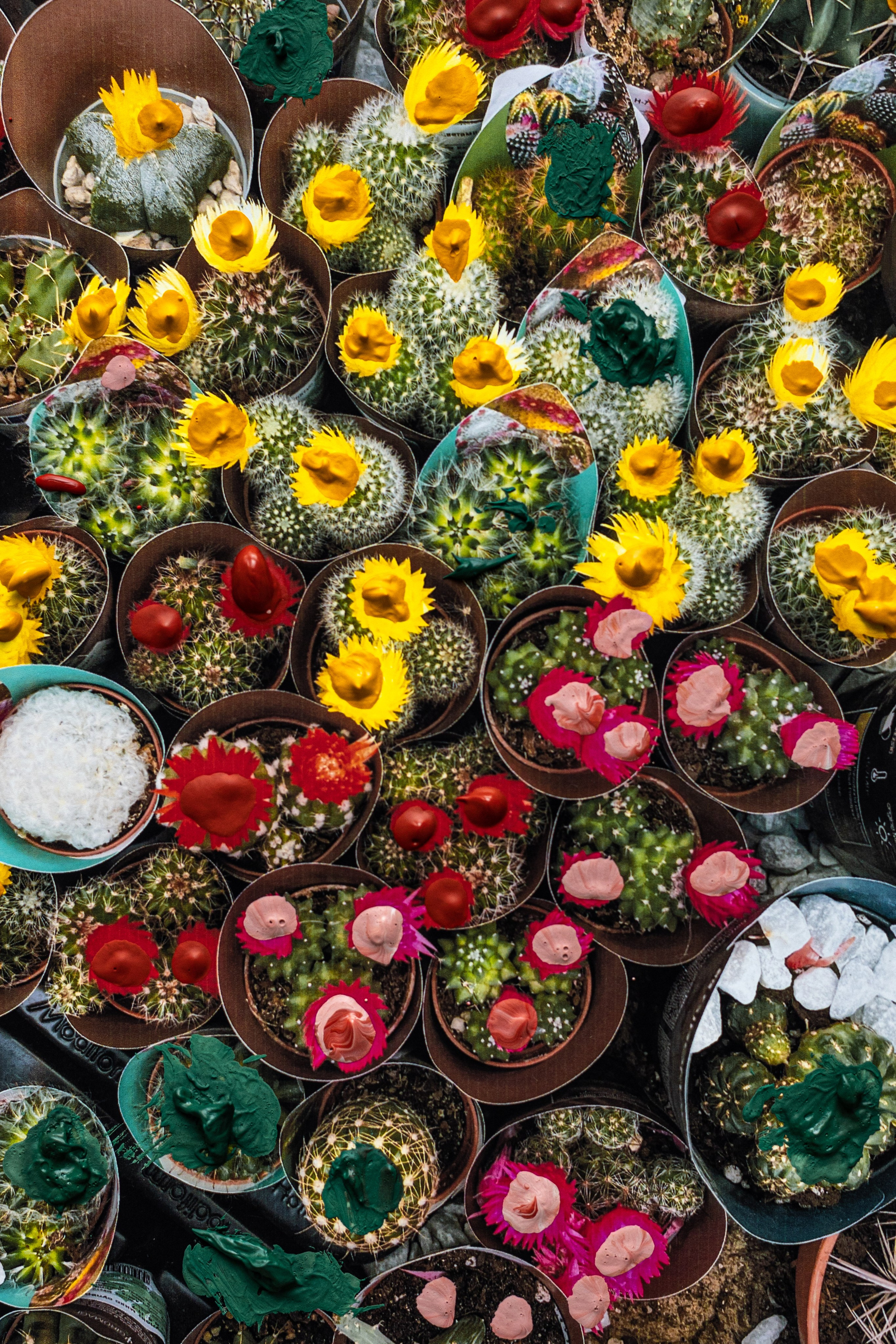 Art photo. Фотограф вашей улыбки. Москва