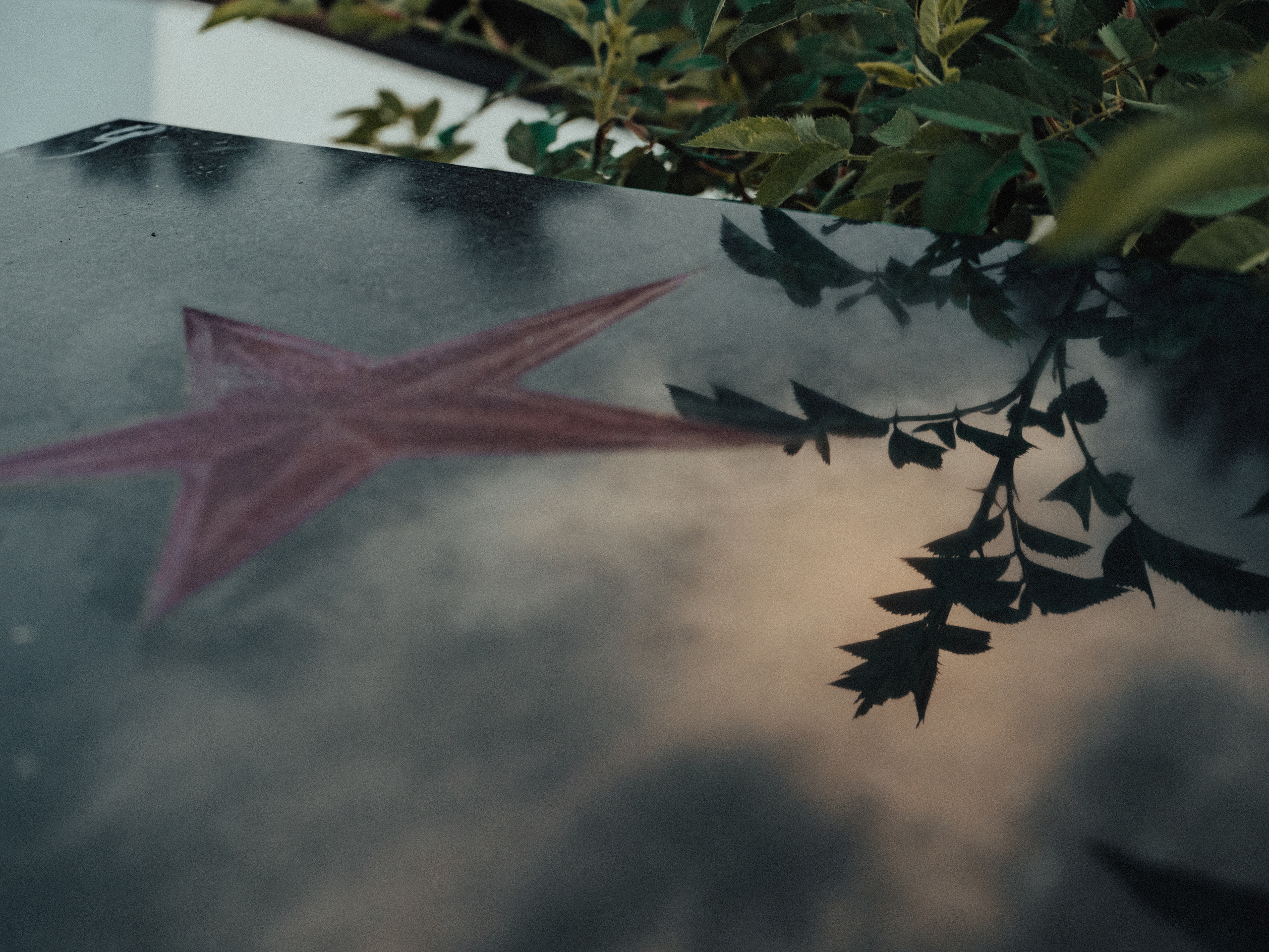 Life.Style.Love. Выпускные альбомы Edi ART