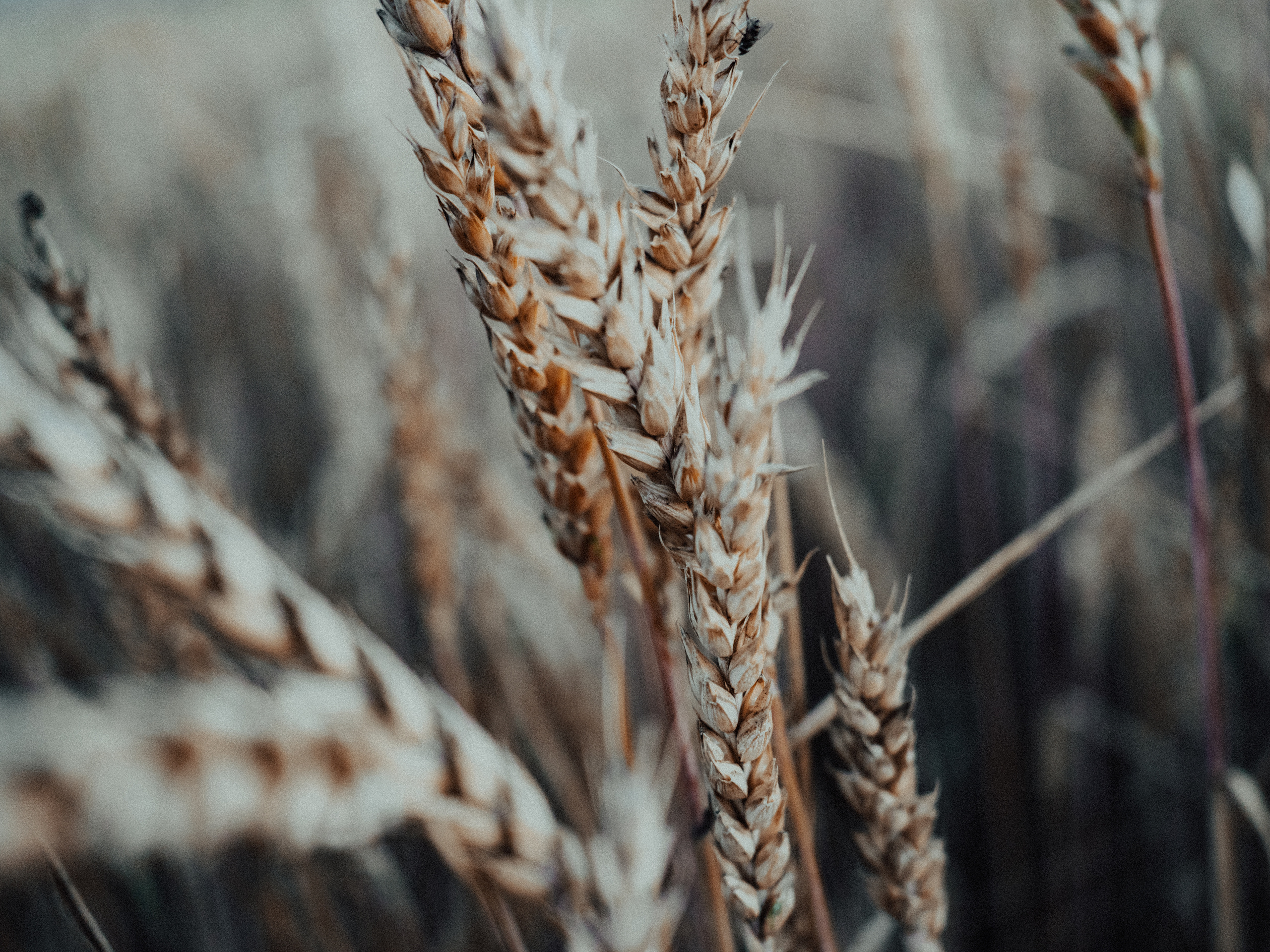 Life.Style.Love. Выпускные альбомы Edi ART