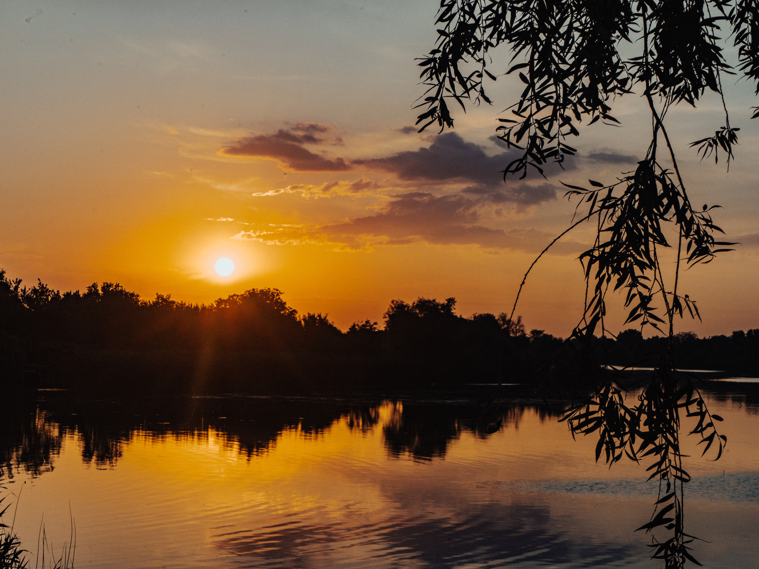 Life.Style.Love. Выпускные альбомы Edi ART