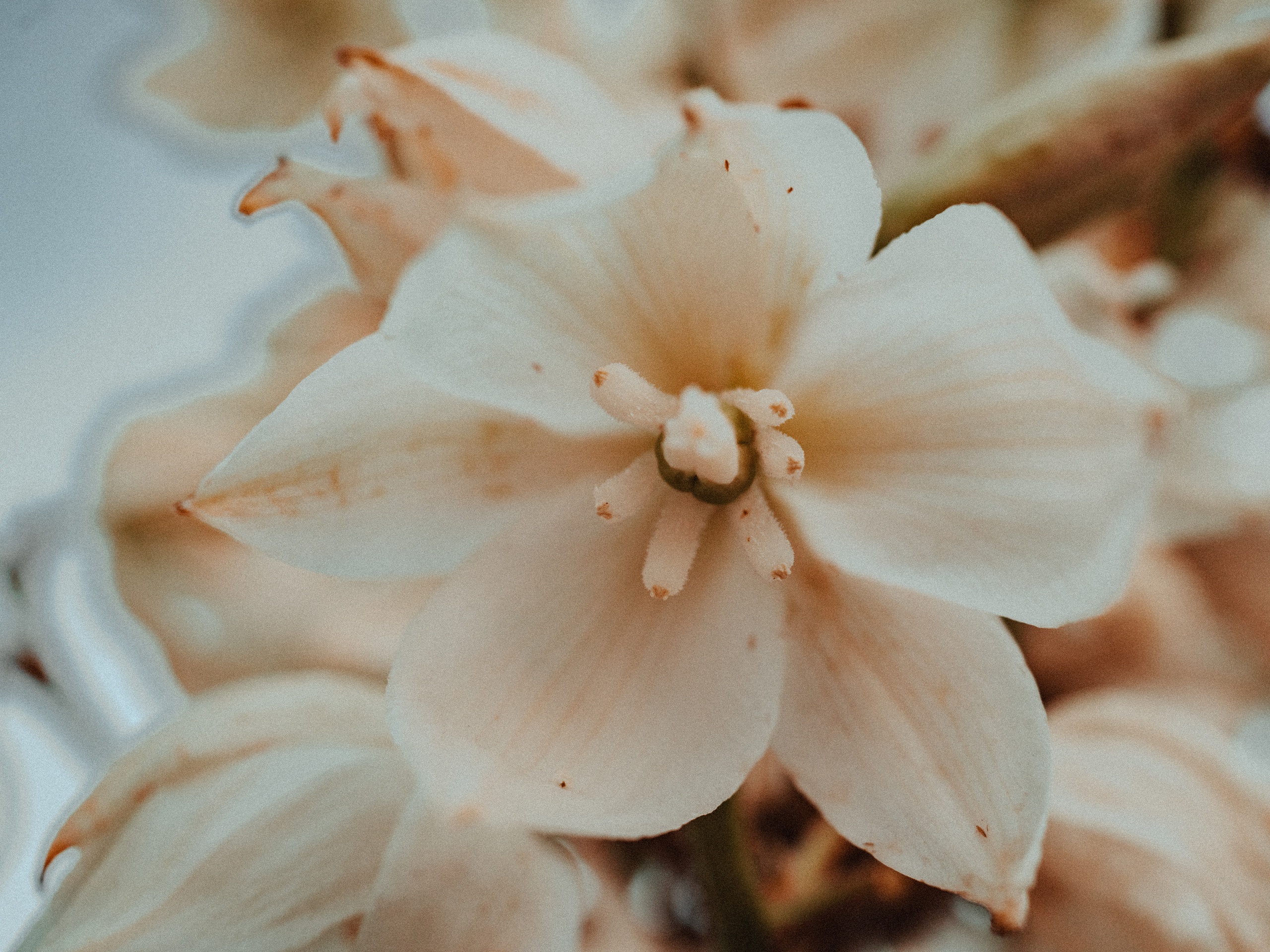 Life.Style.Love. Выпускные альбомы Edi ART