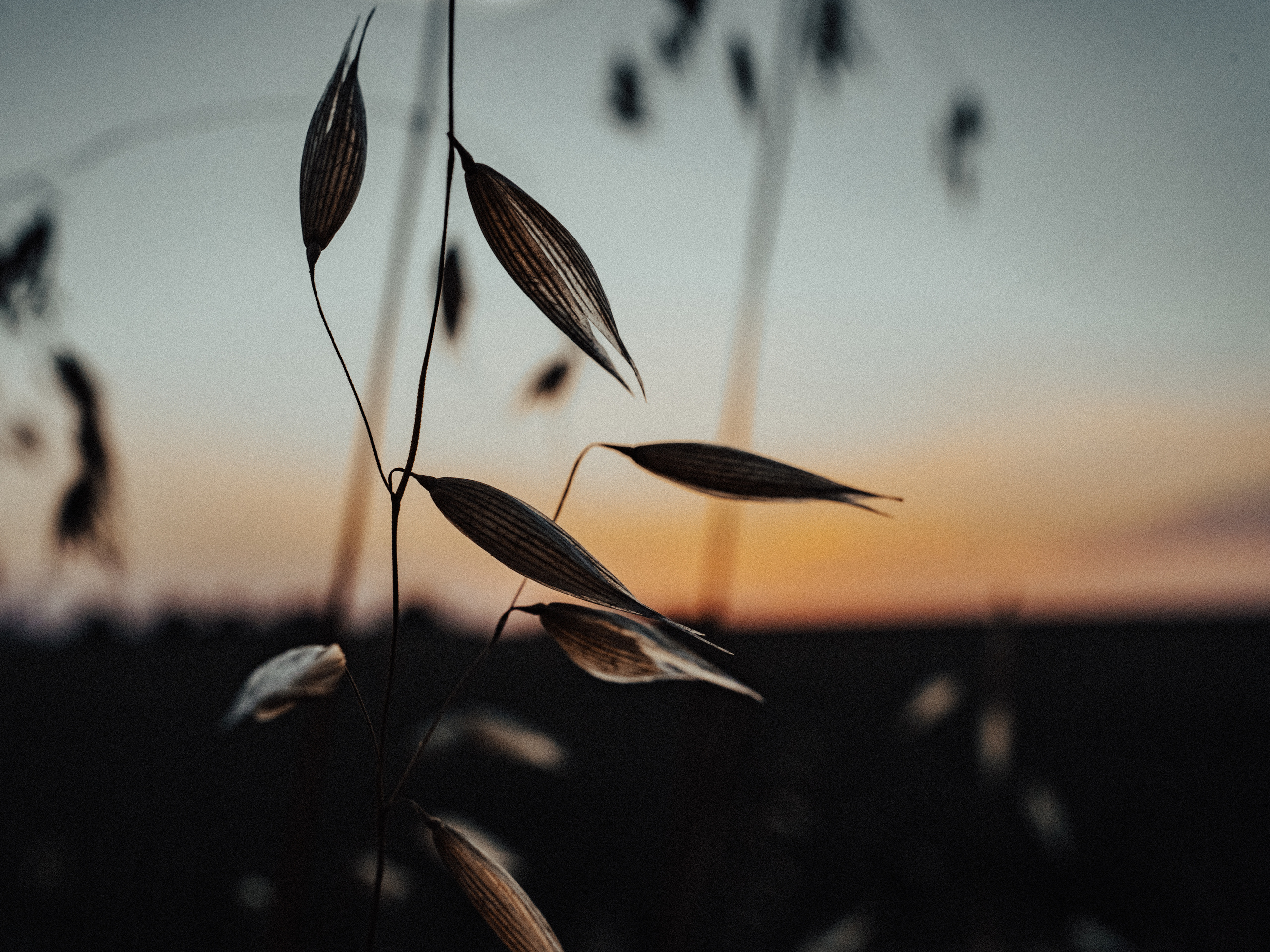 Life.Style.Love. Выпускные альбомы Edi ART